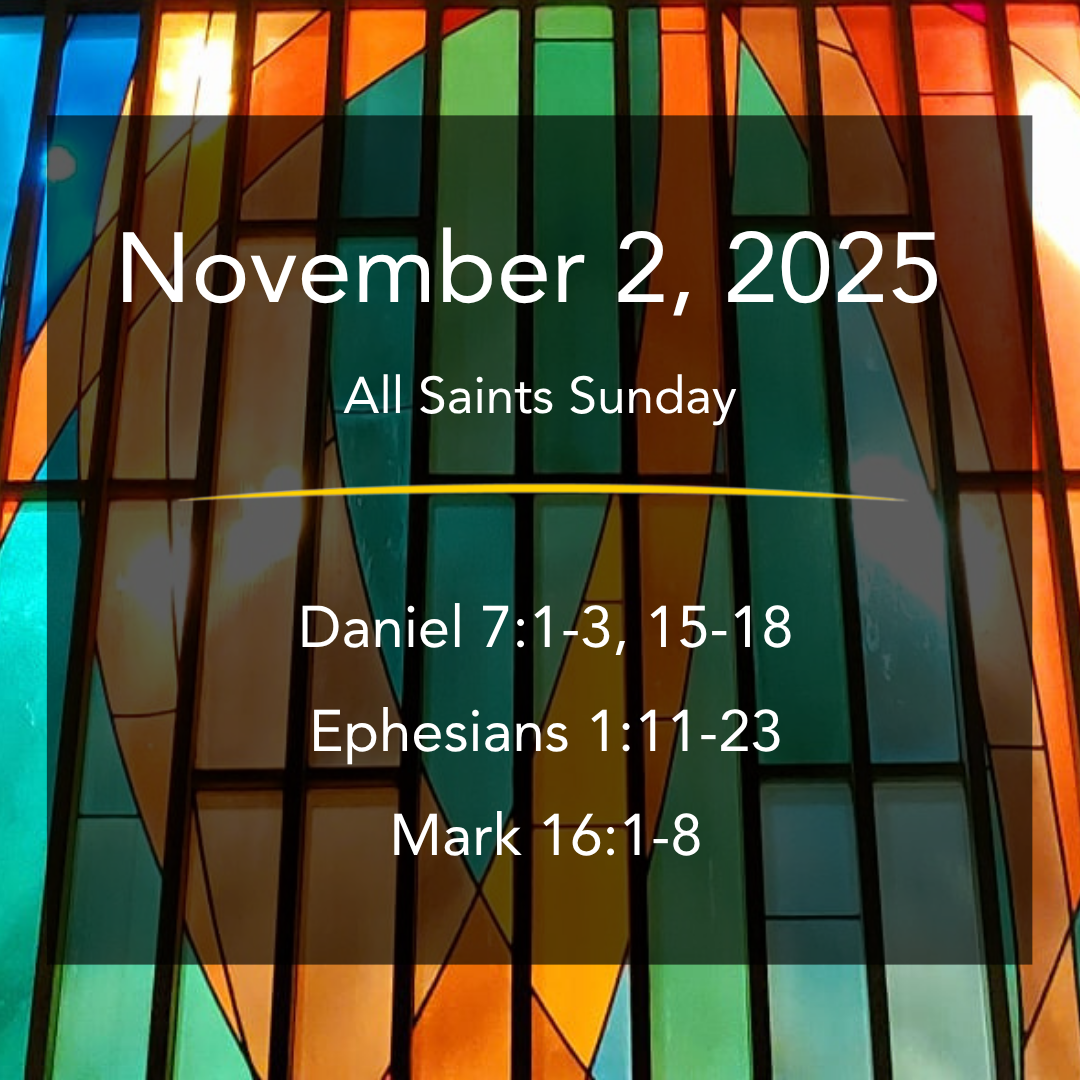 Nov. 2, 2025 | Word Out!