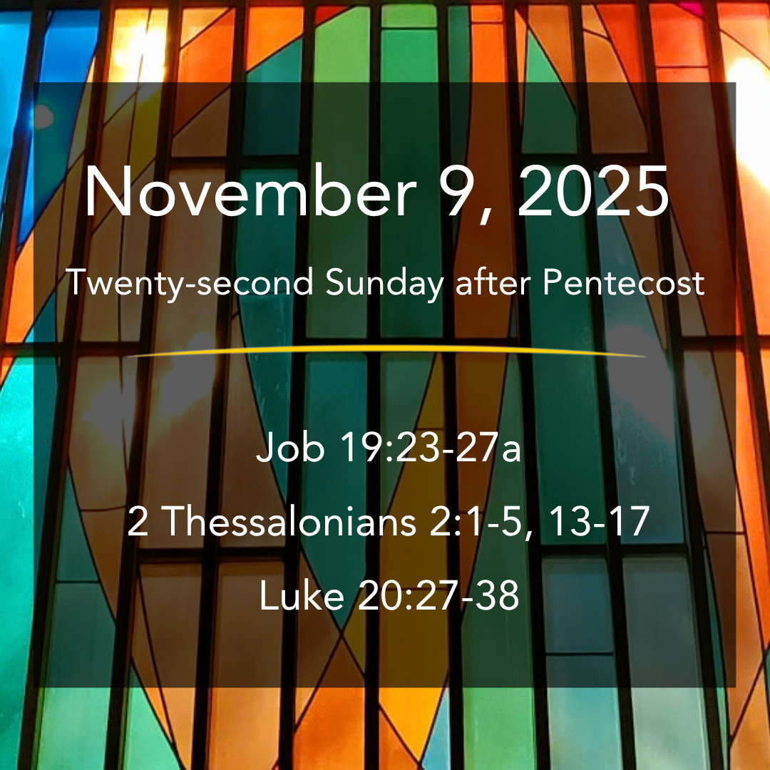 Nov. 9, 2025 | Word Out!