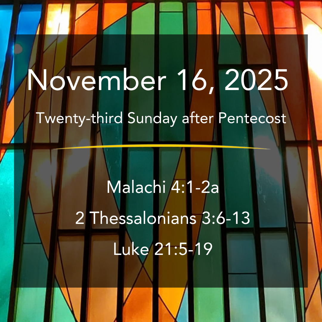 Nov. 16, 2025 | Word Out!