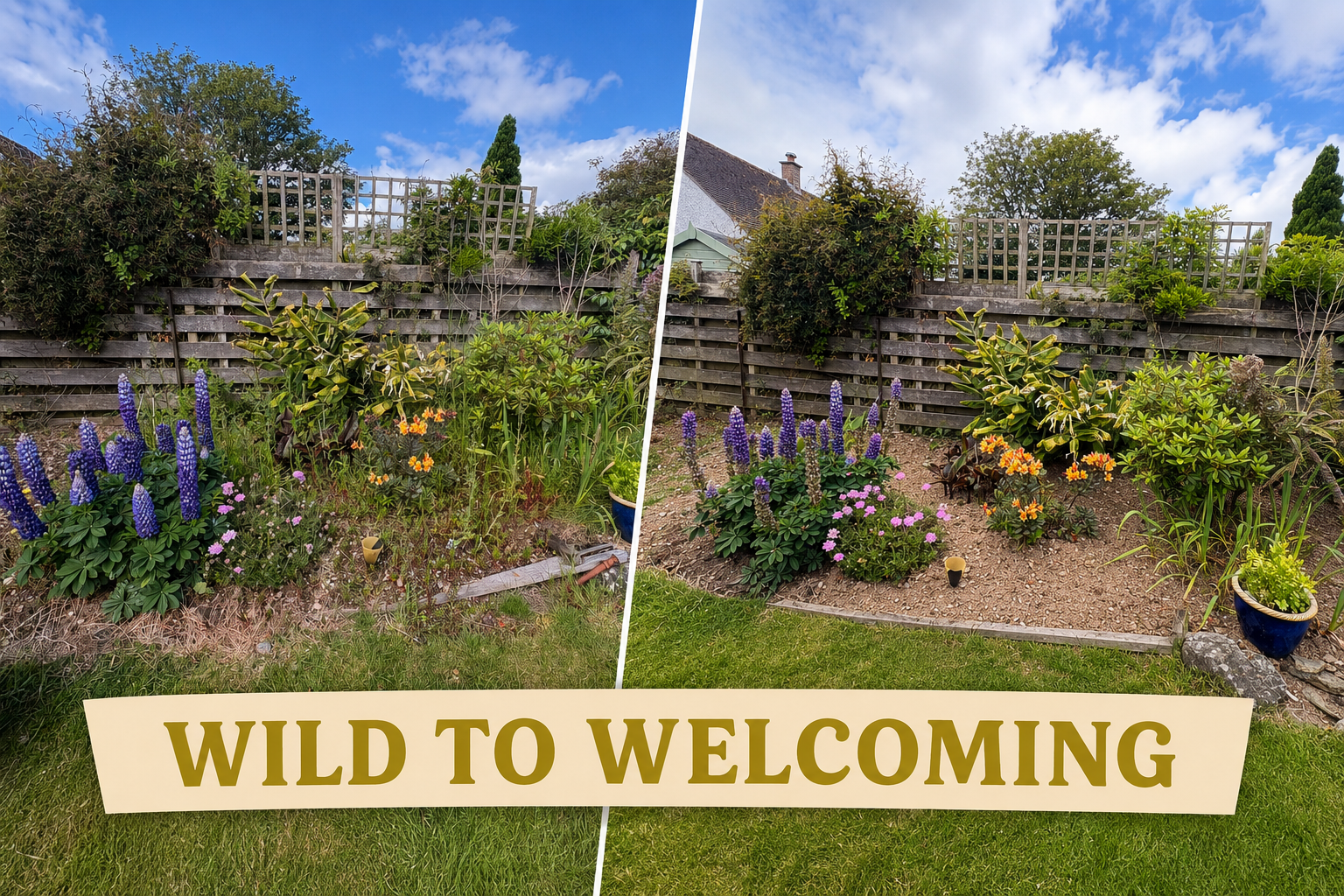 before and after weeding.png