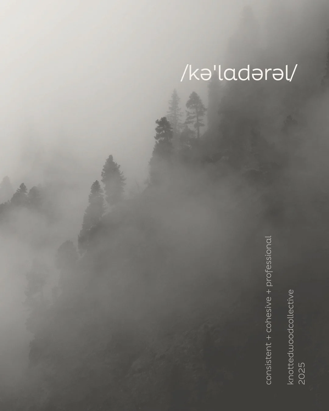Branding and design don&rsquo;t need to follow rigid rules. They are about telling your story. Make it memorable. Make it stand out. Make it yours. ✨ 

PS. Yes, I did order these and I couldn&rsquo;t be happier! 

#branding #design #storytelling #bra