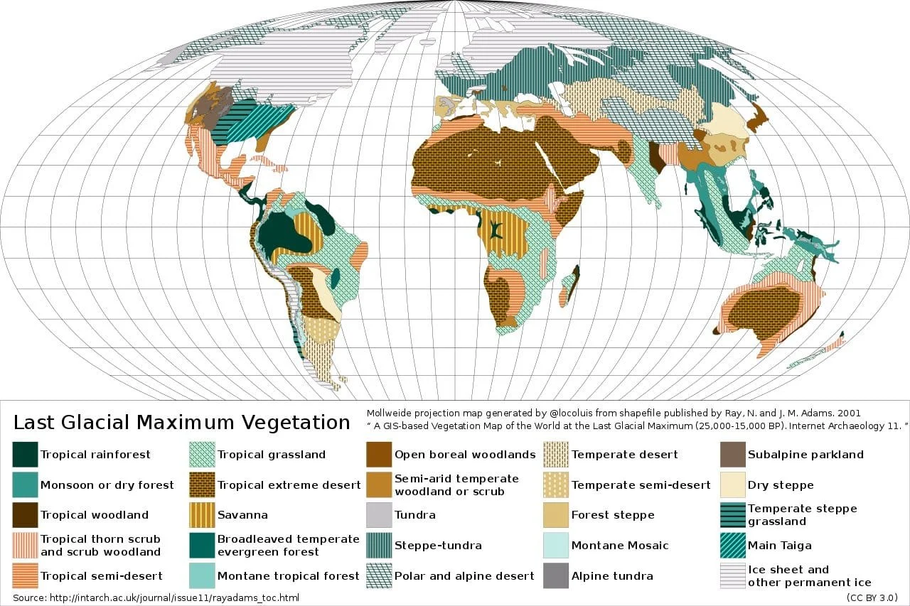 Vegetation Map at Last Glacial Maximum