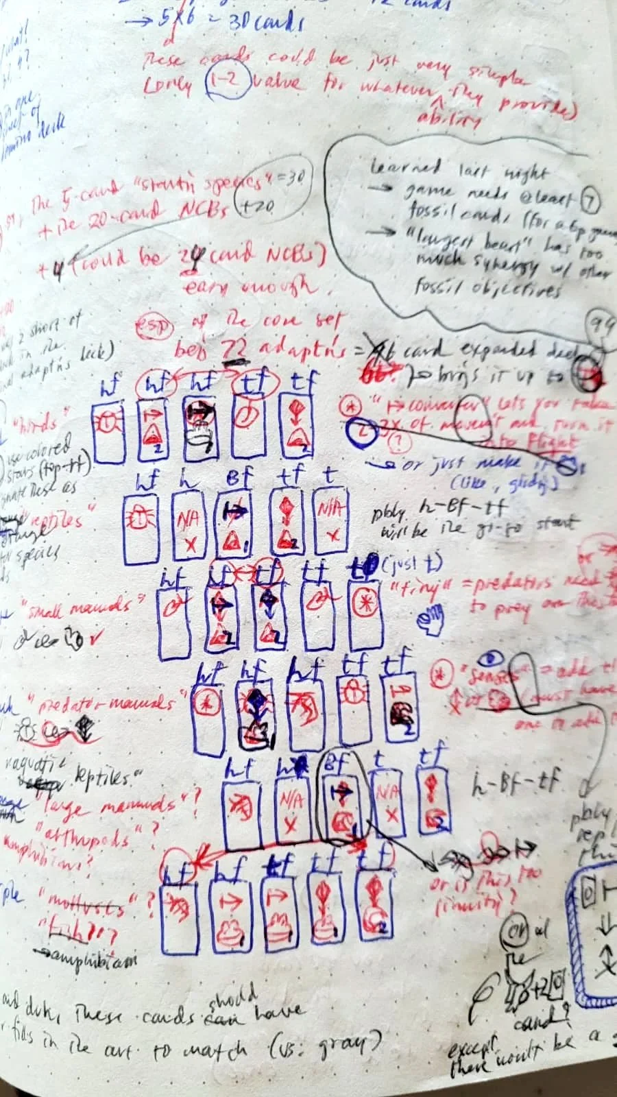 notebook-expansions-draft