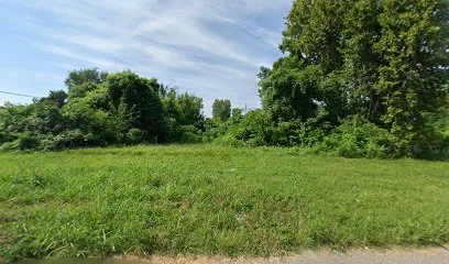 1300 Mississippi Ave, East St Louis, IL 62201.jpg