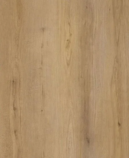 T6502.jpg