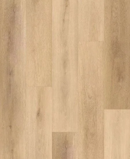 T6505.jpg