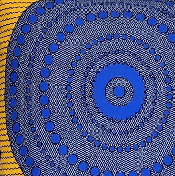 20260222_130439 - closeup.jpg