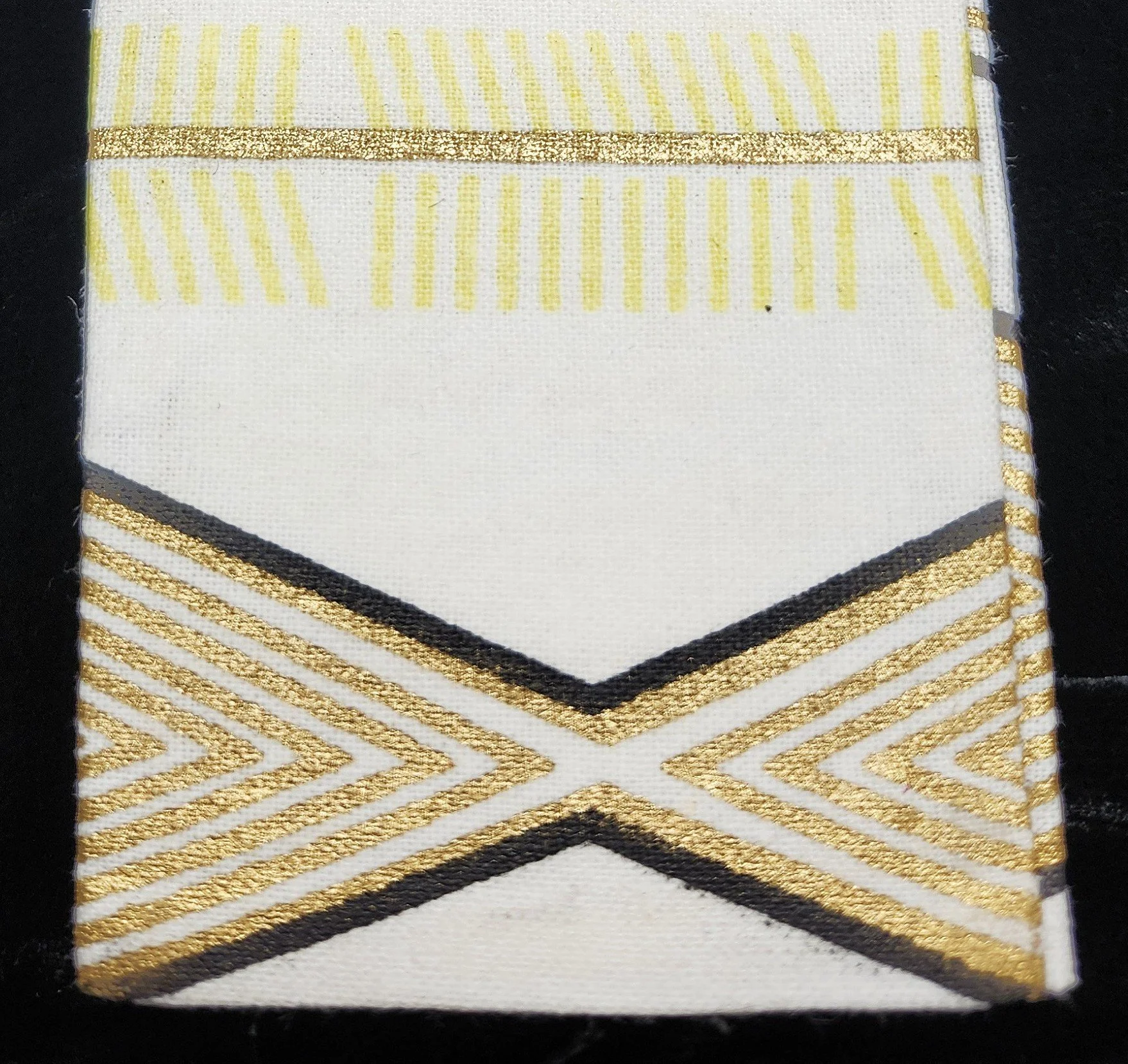 20260224_143605 - closeup.jpg