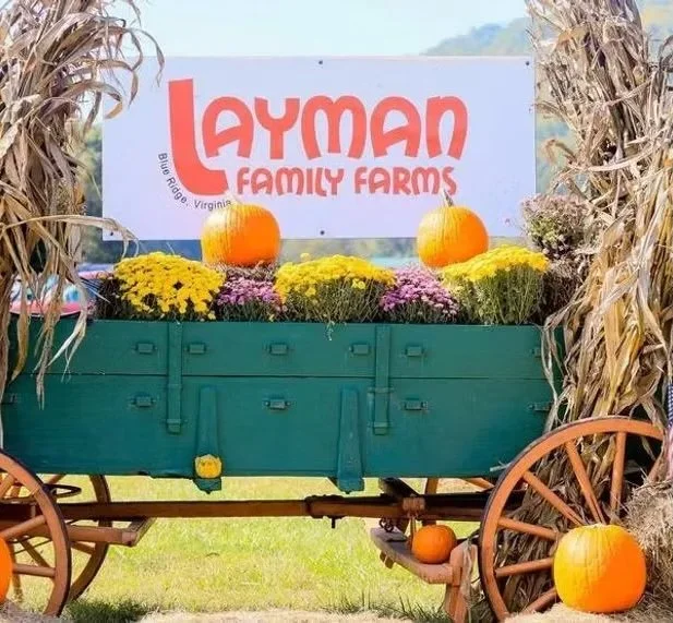 1437d4_fa12c3dc2fef4653bb8b9fe5b24c32a3~mv2 (1).jpeg