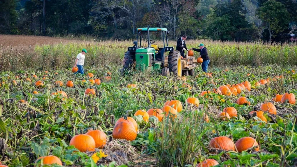 farmsite-1024x576.jpg