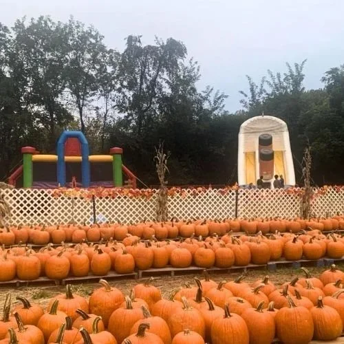 Smiths-Pumpkin-Patch.jpeg