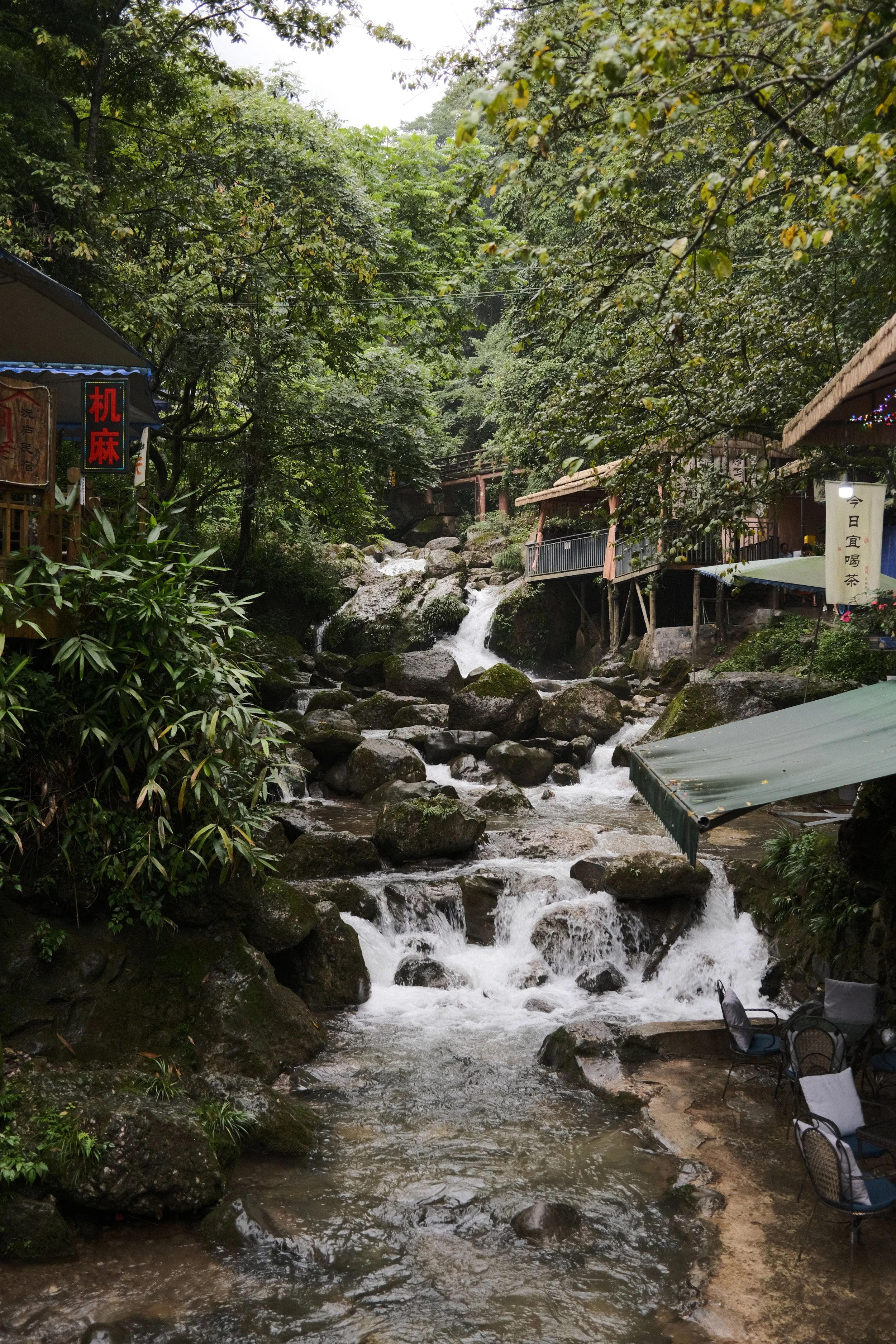 DSCF5952.jpg