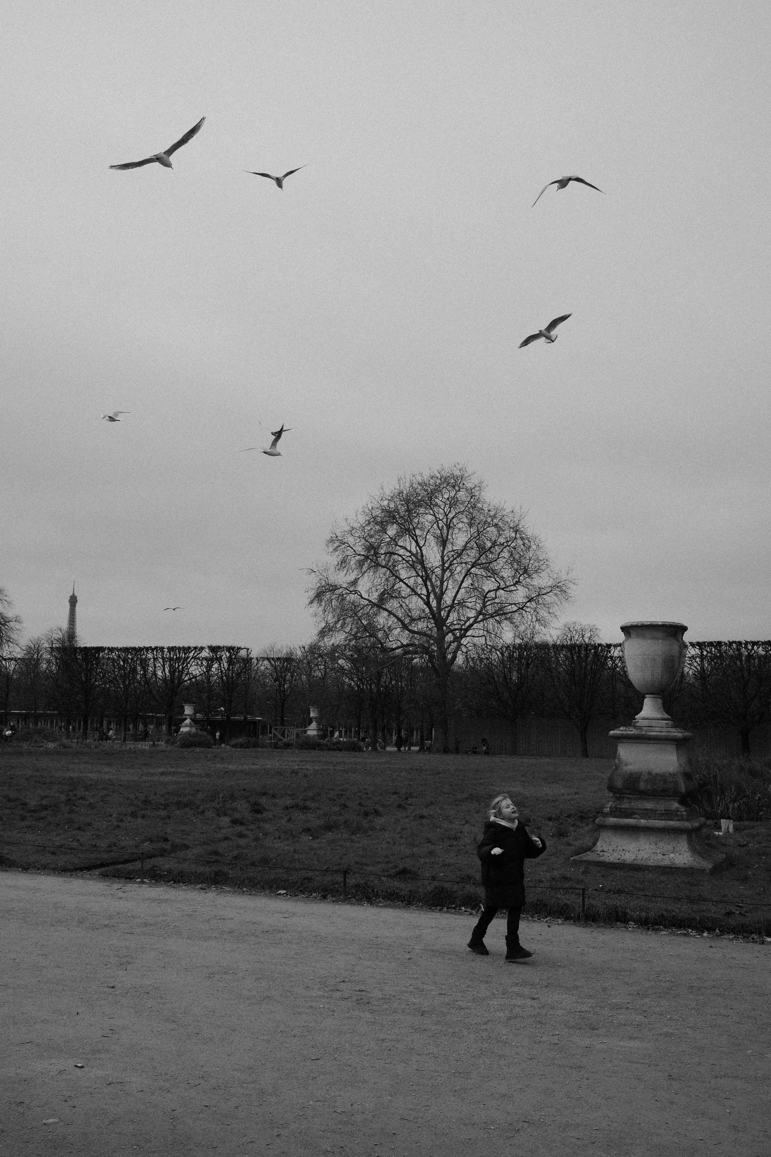DSCF8918.jpg