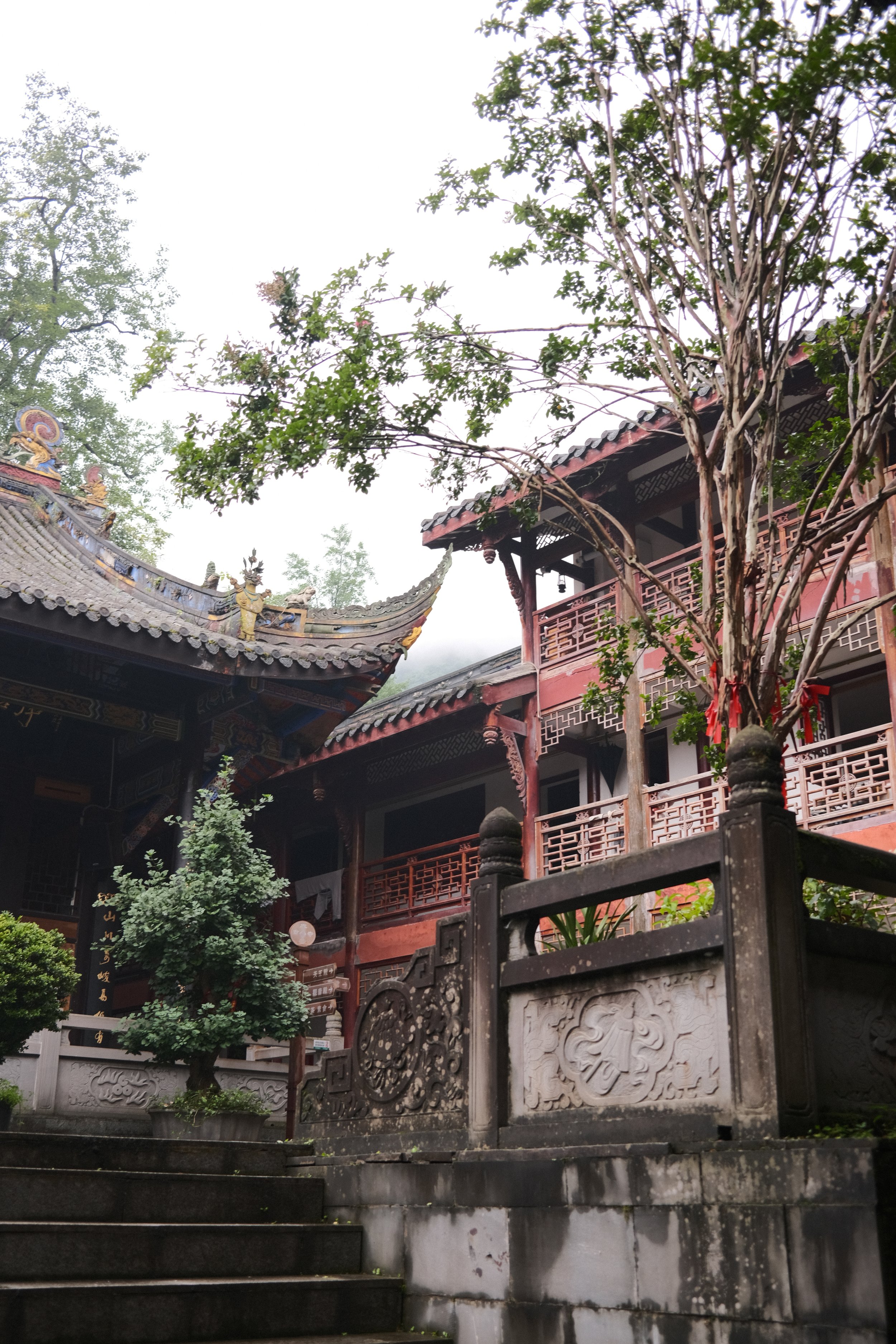 DSCF5901.jpg