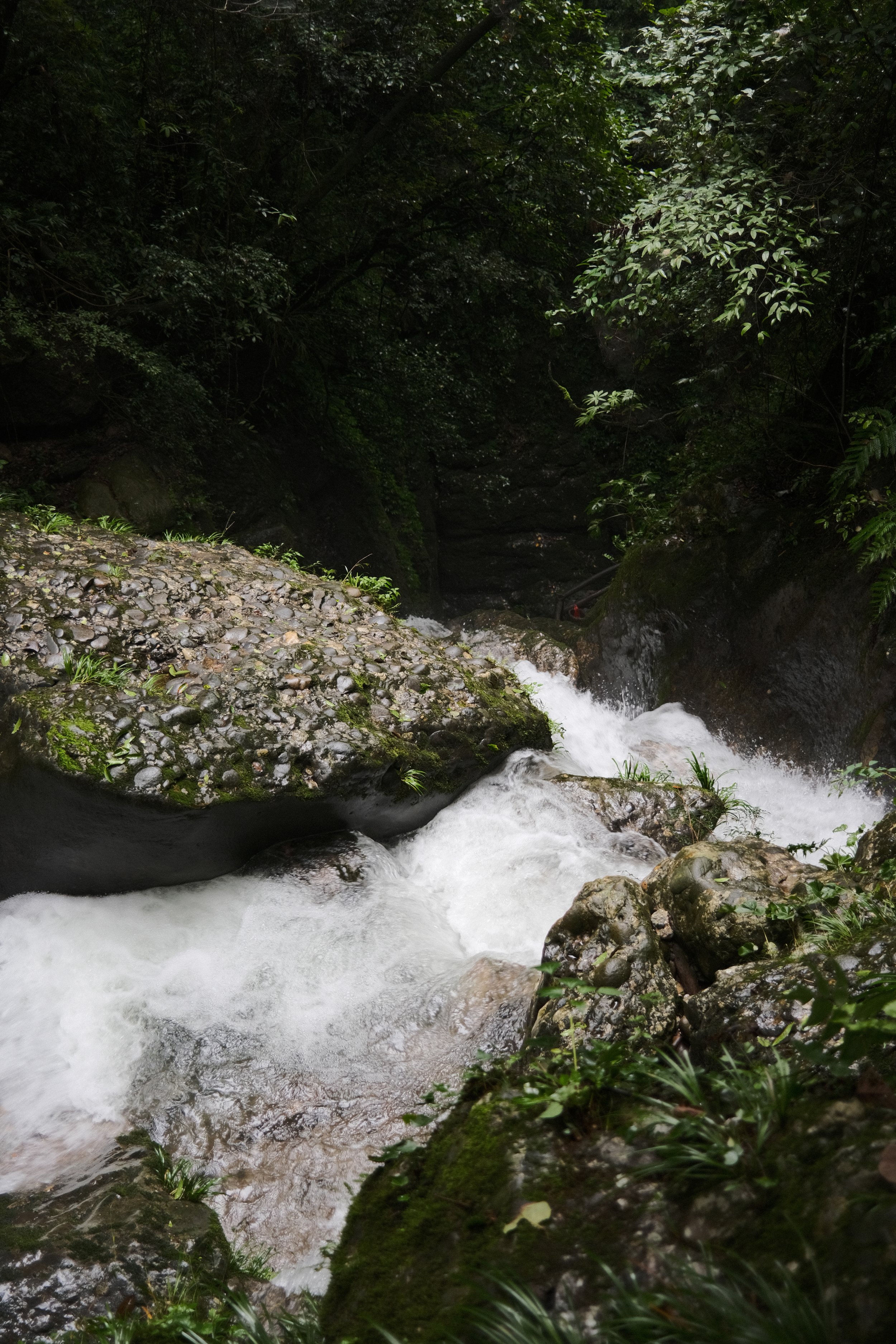 DSCF5997.jpg