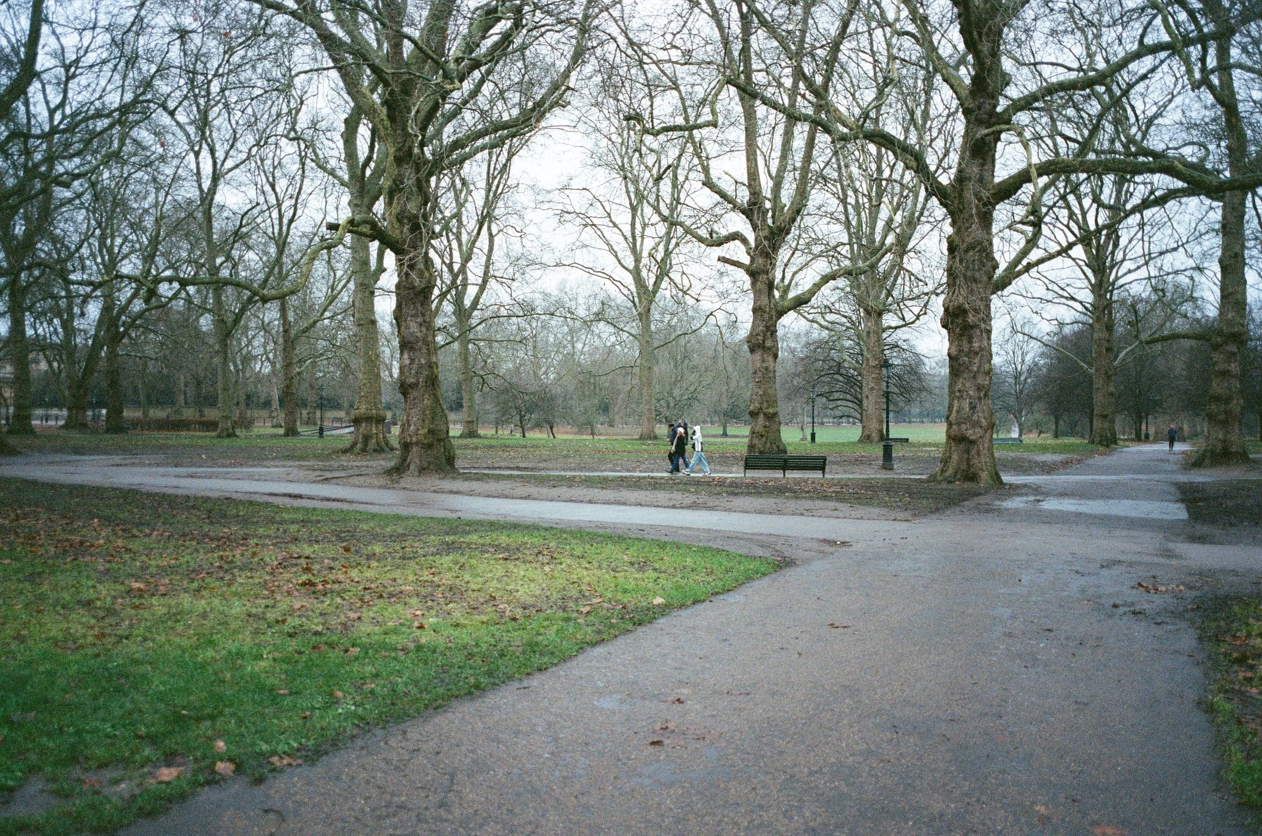 001759530002.jpg