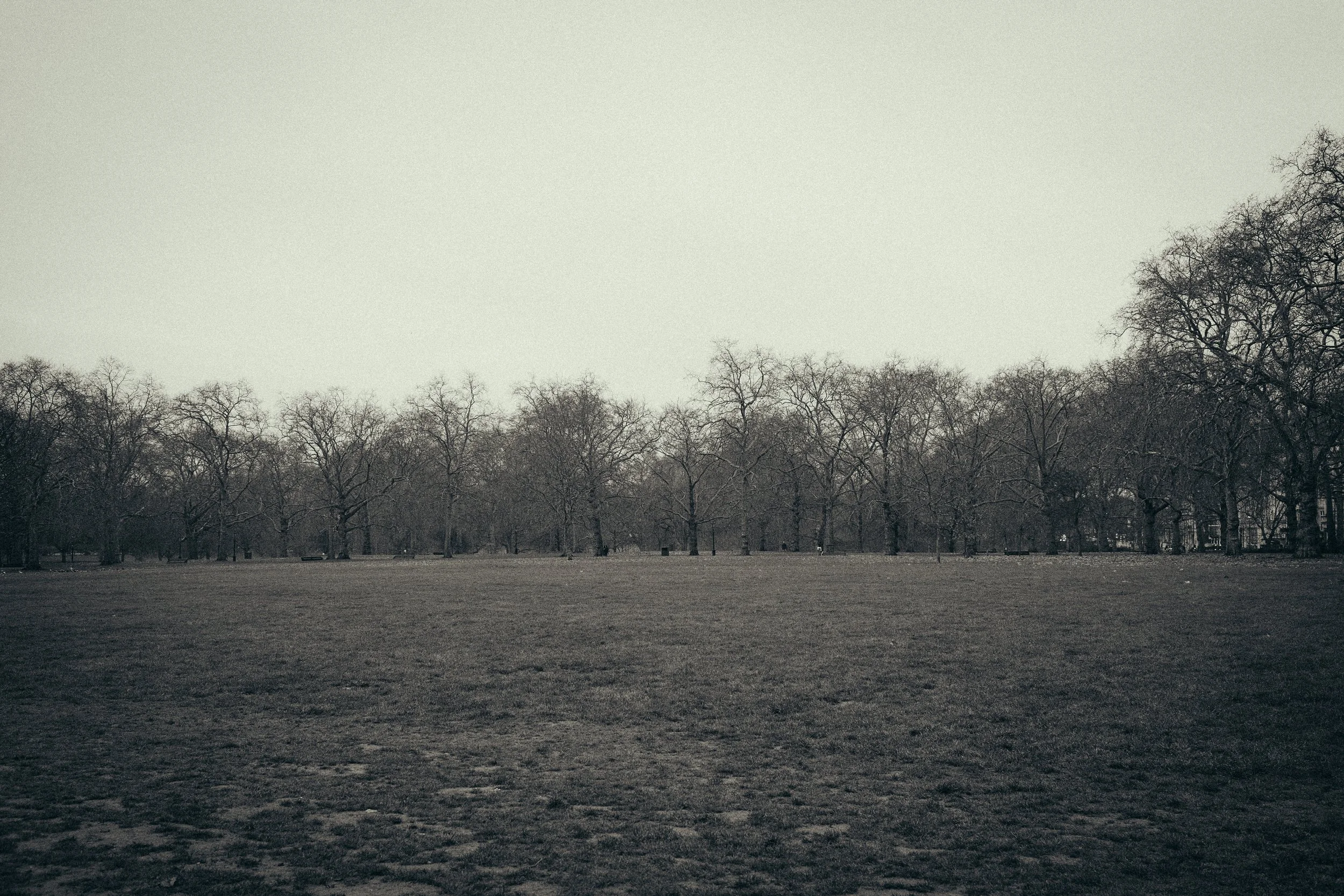 DSCF8240.jpg