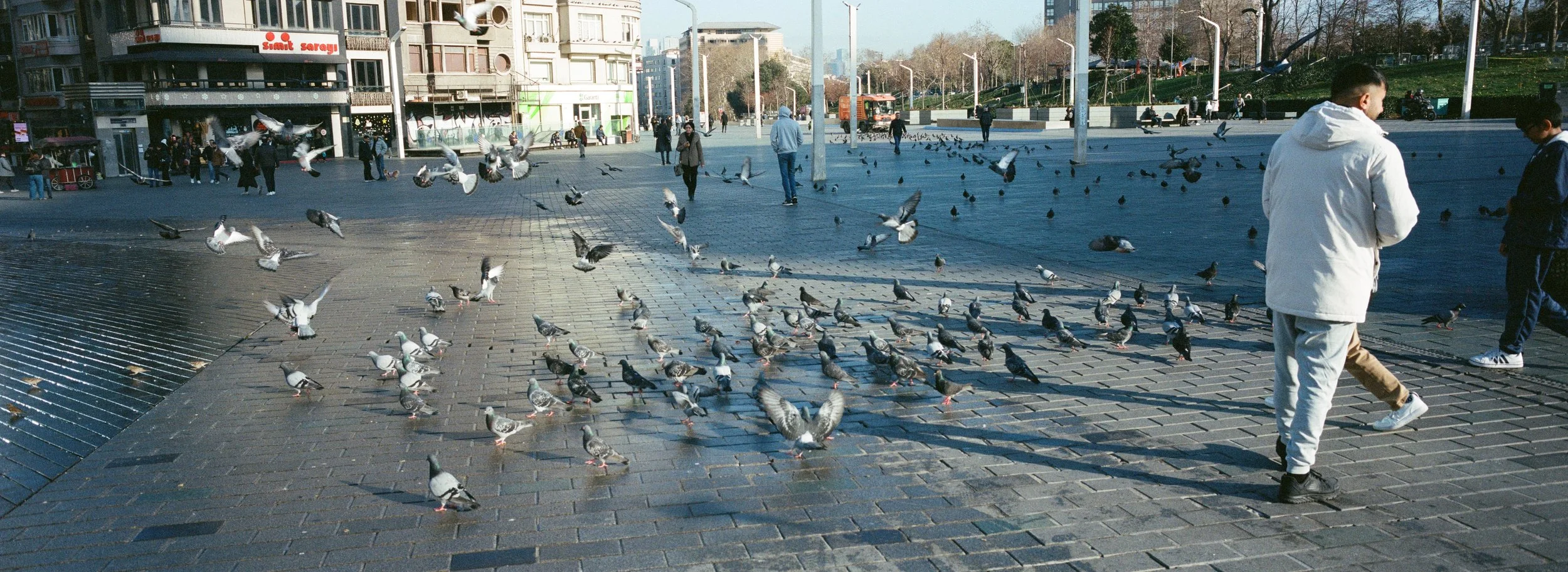 001759480007.jpg