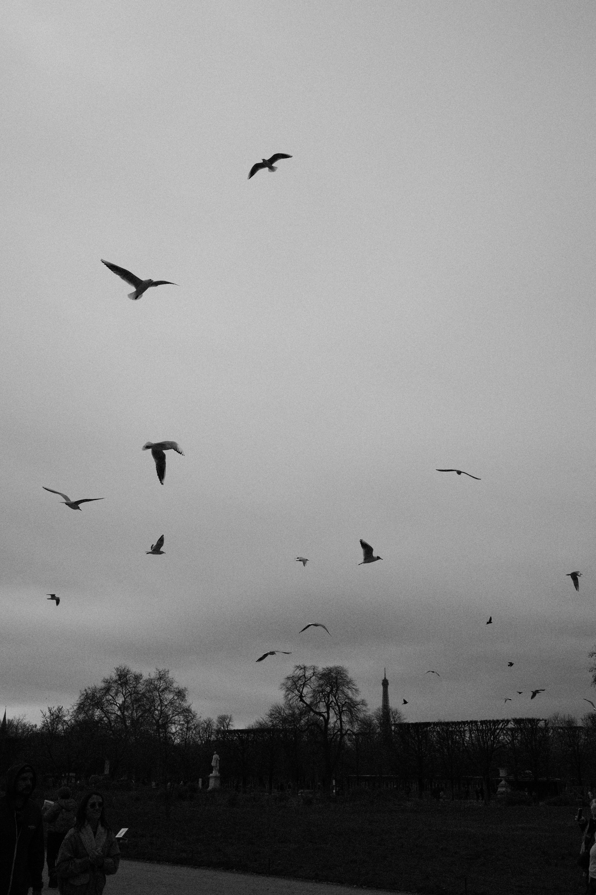 DSCF8891.jpg