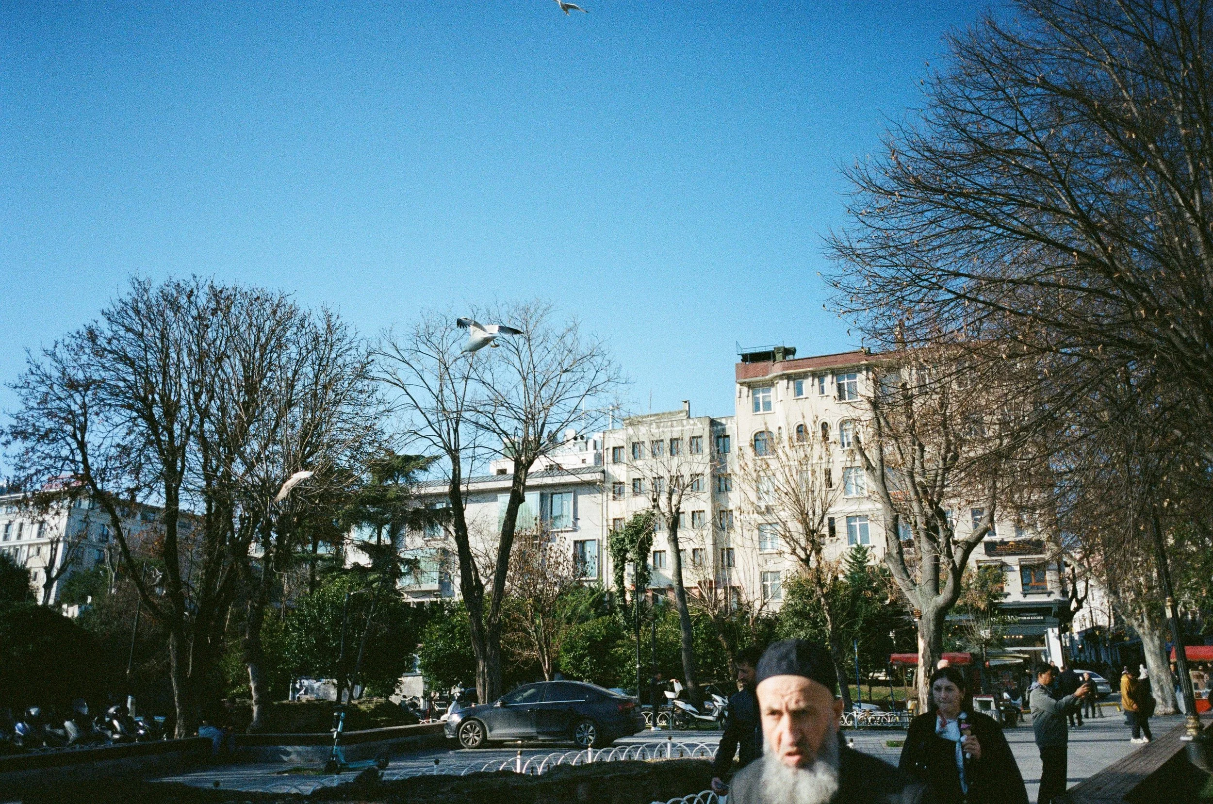 001759520016.jpg