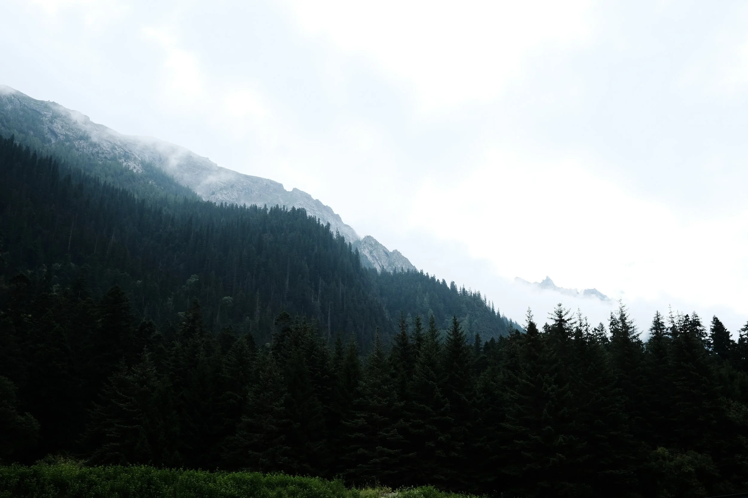 DSCF6225.jpg