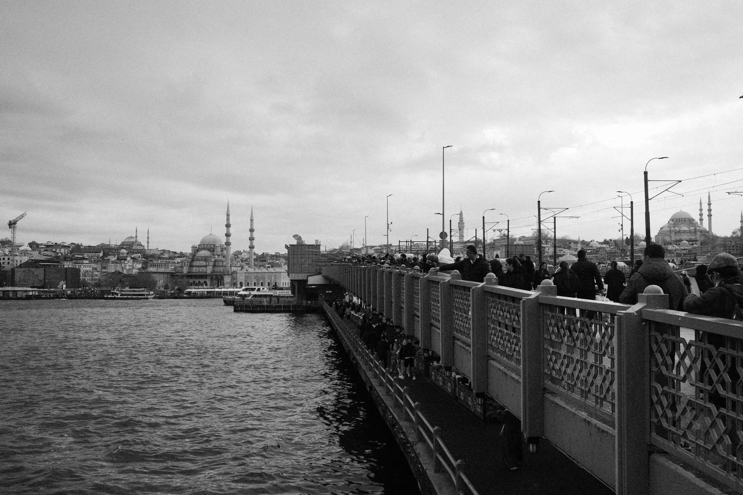 DSCF0516.jpg