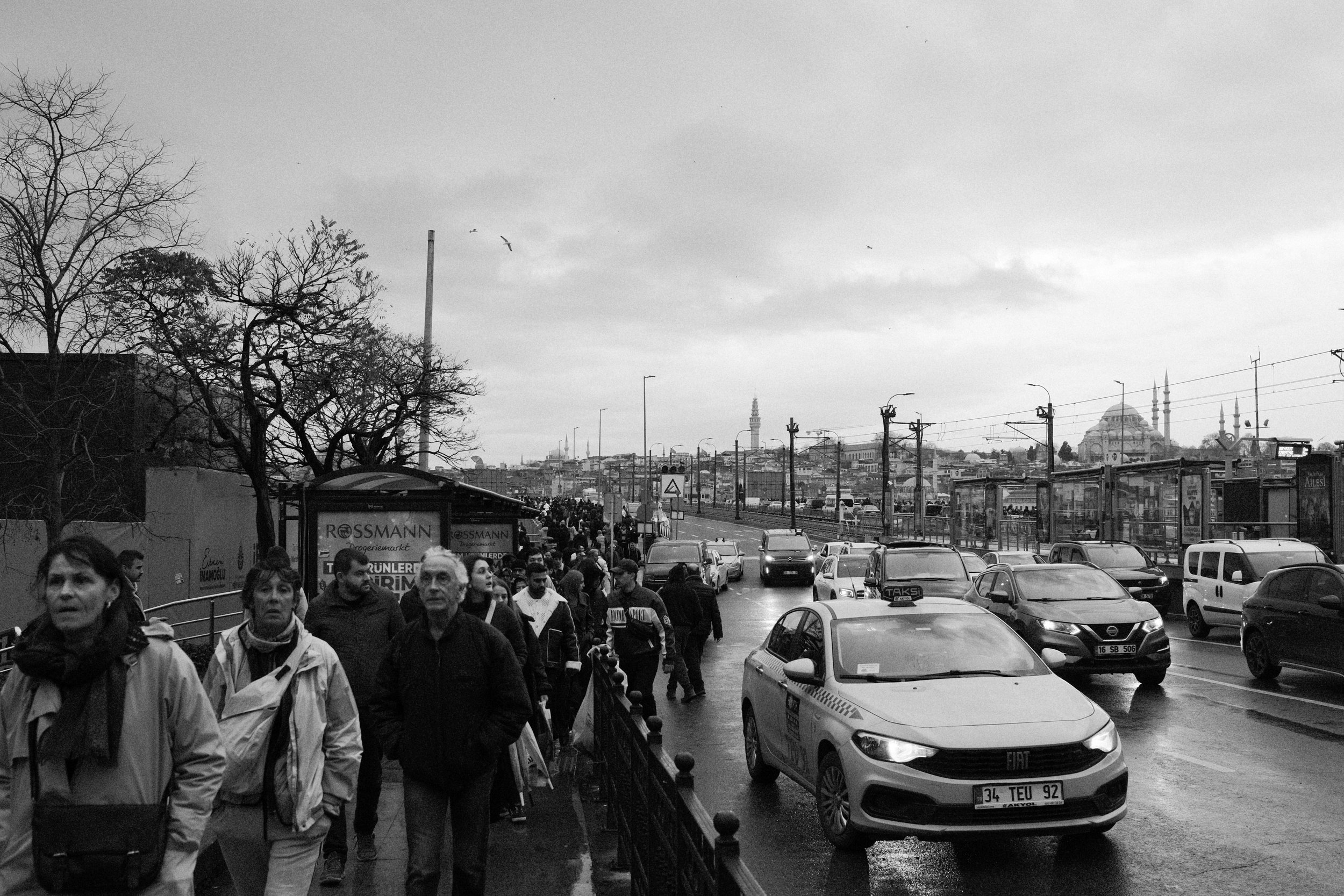 DSCF0514.jpg
