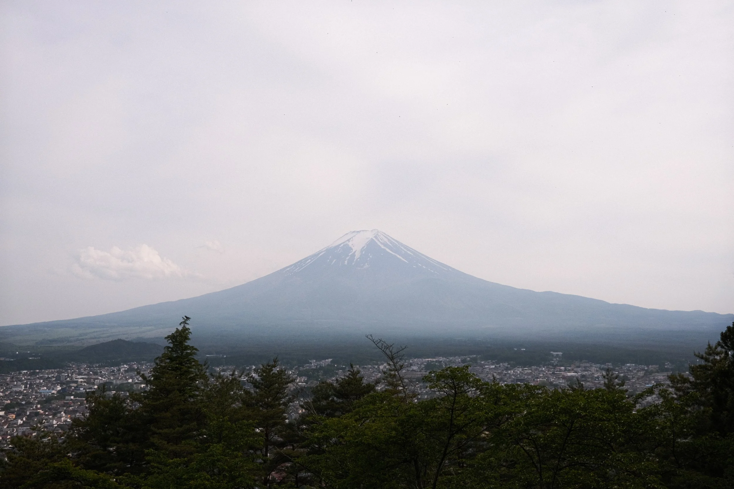 DSCF3846.jpg