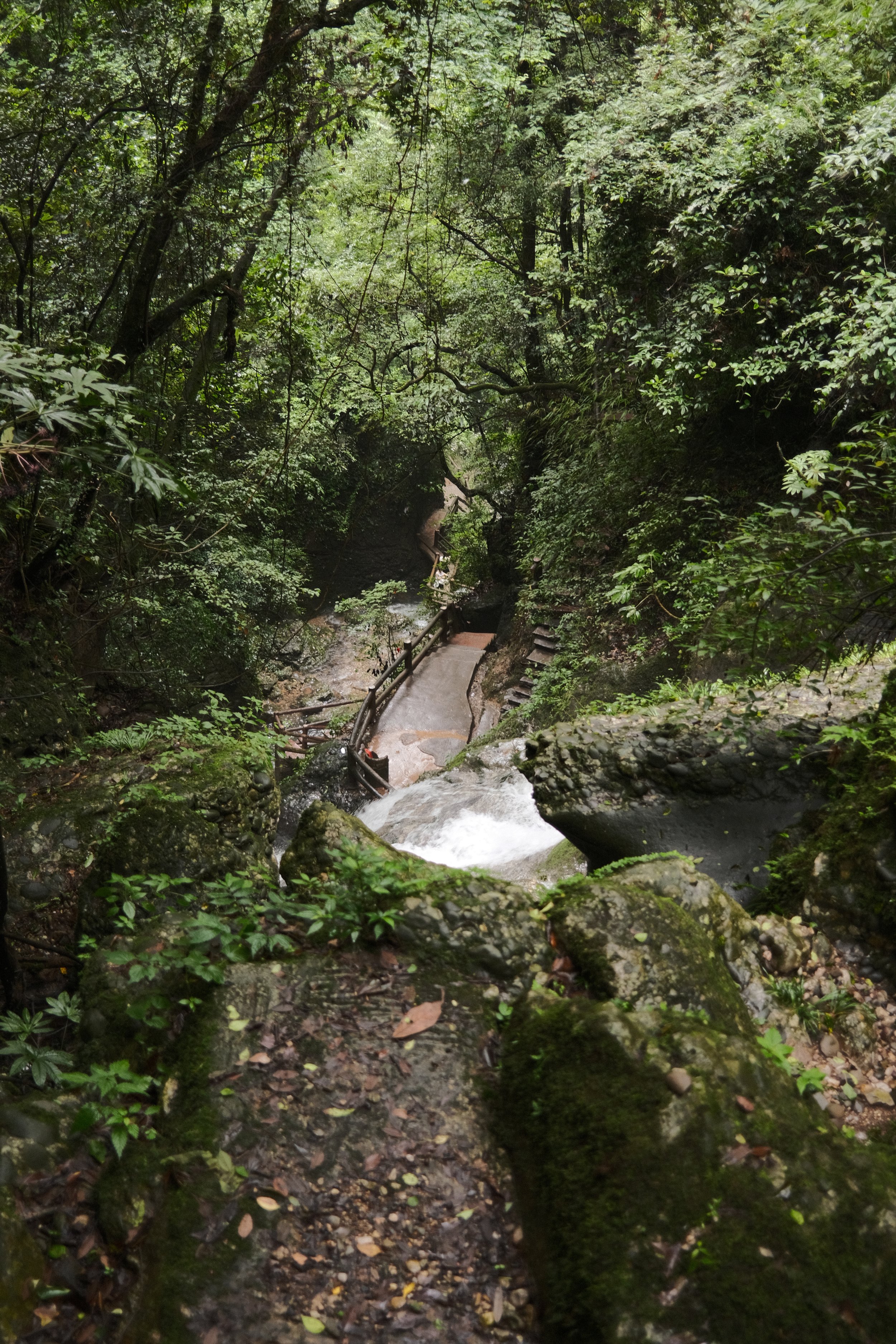 DSCF6007.jpg