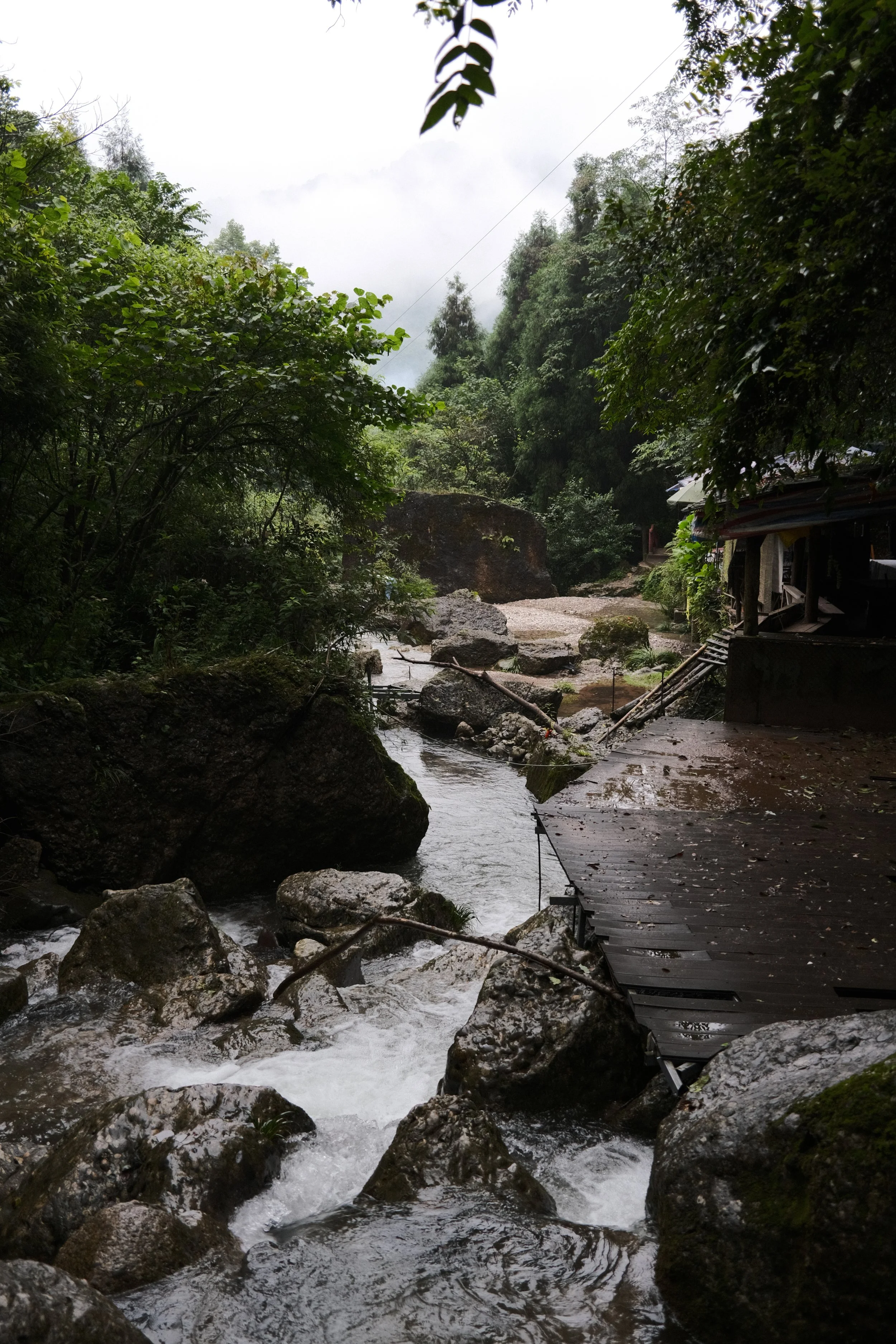 DSCF5972.jpg