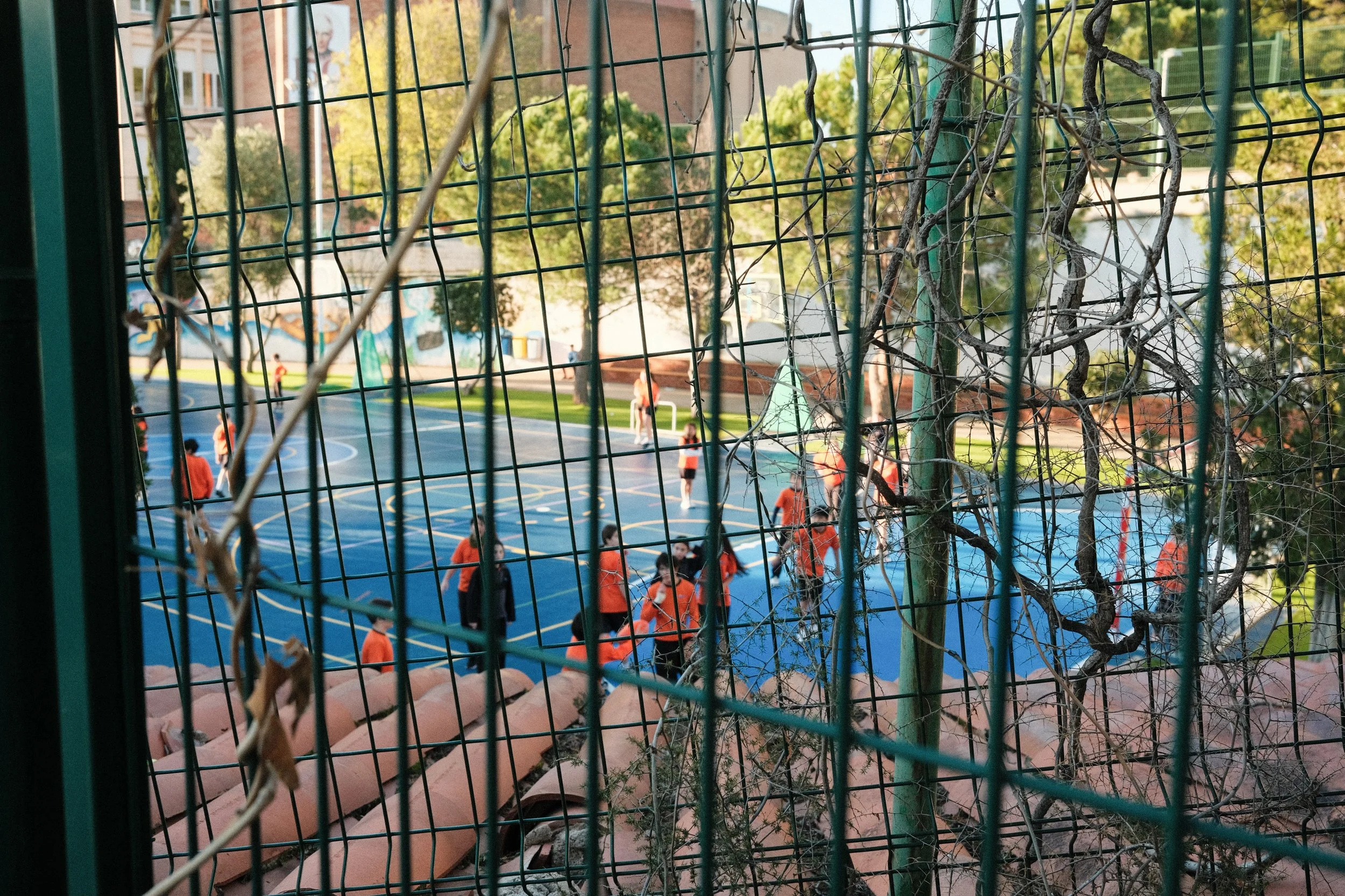 DSCF9339.jpg