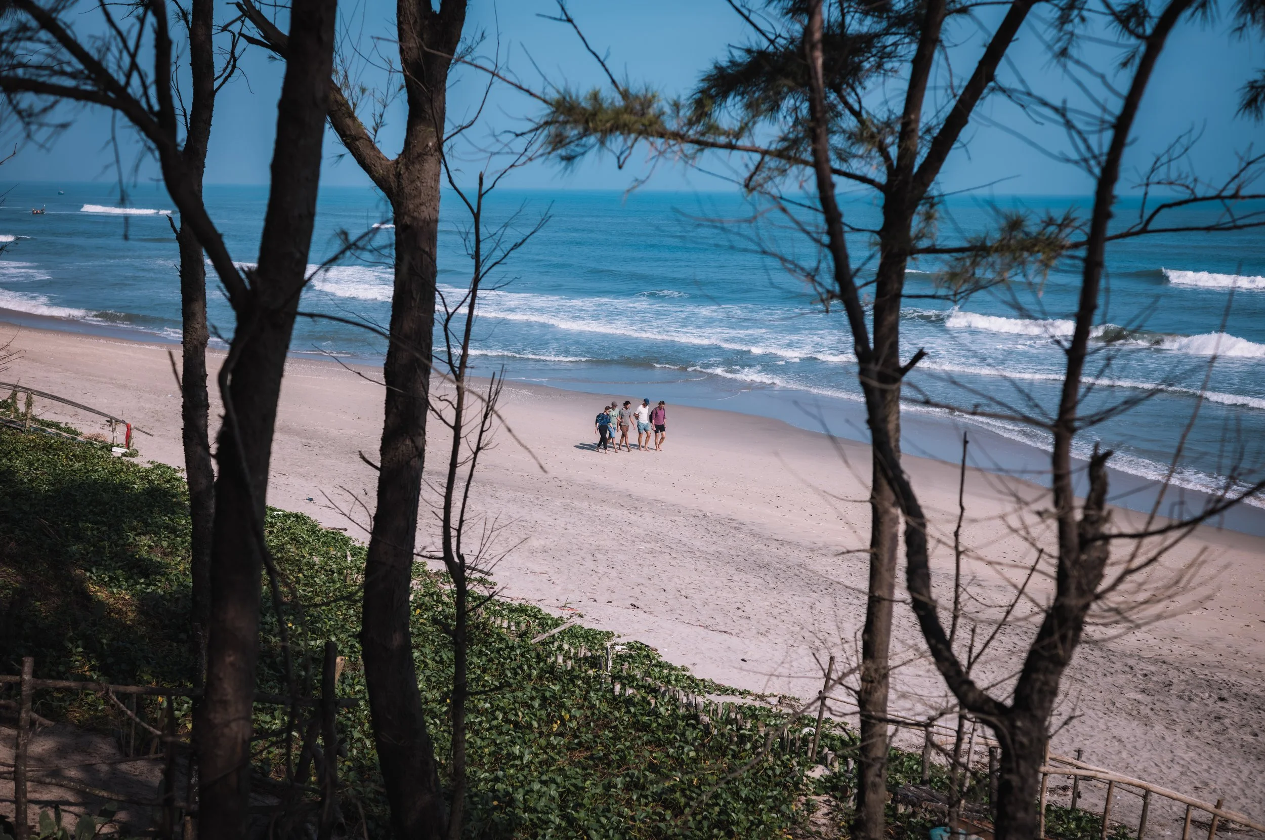 L1011858.jpg