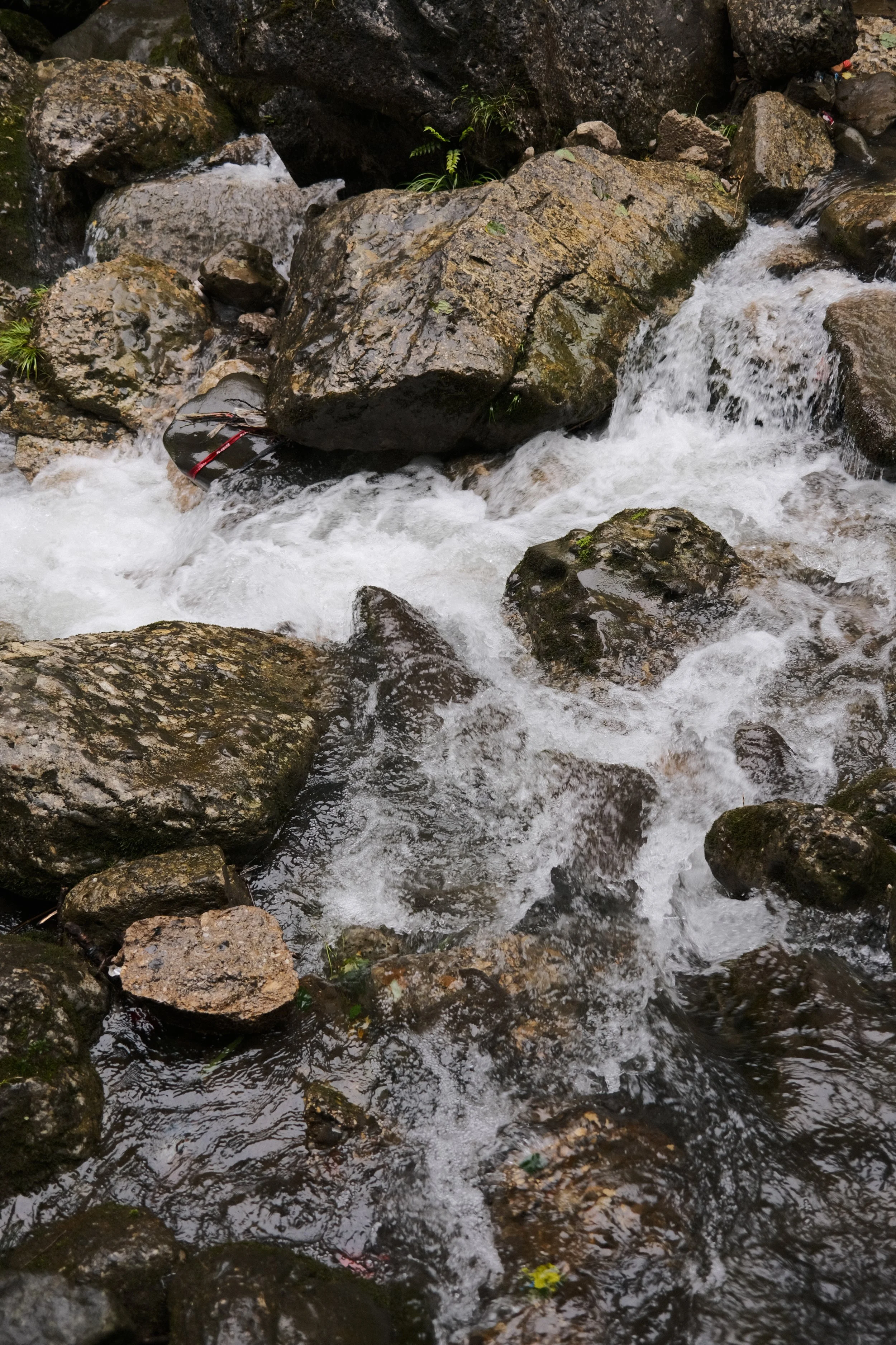 DSCF5964.jpg