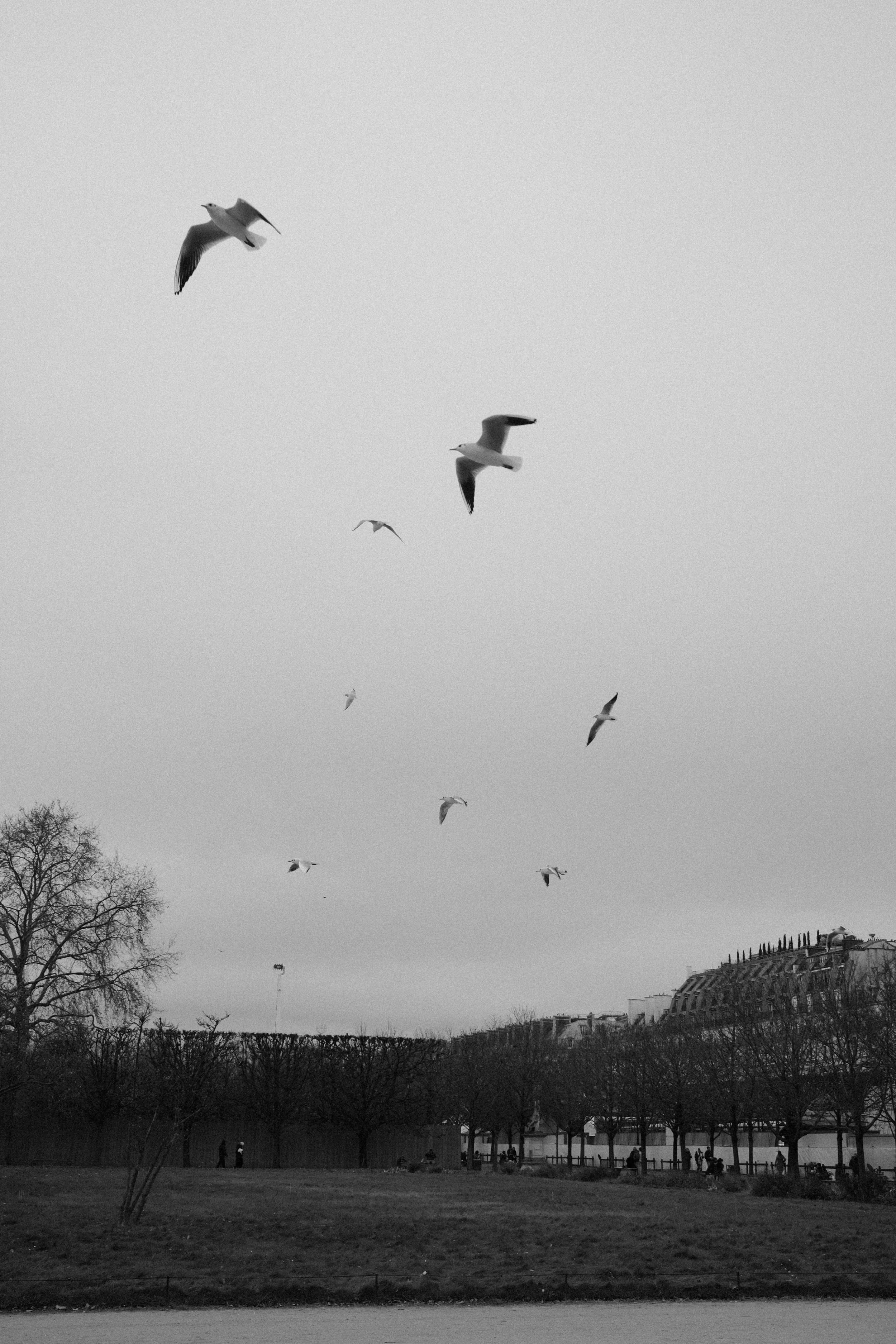 DSCF8871.jpg
