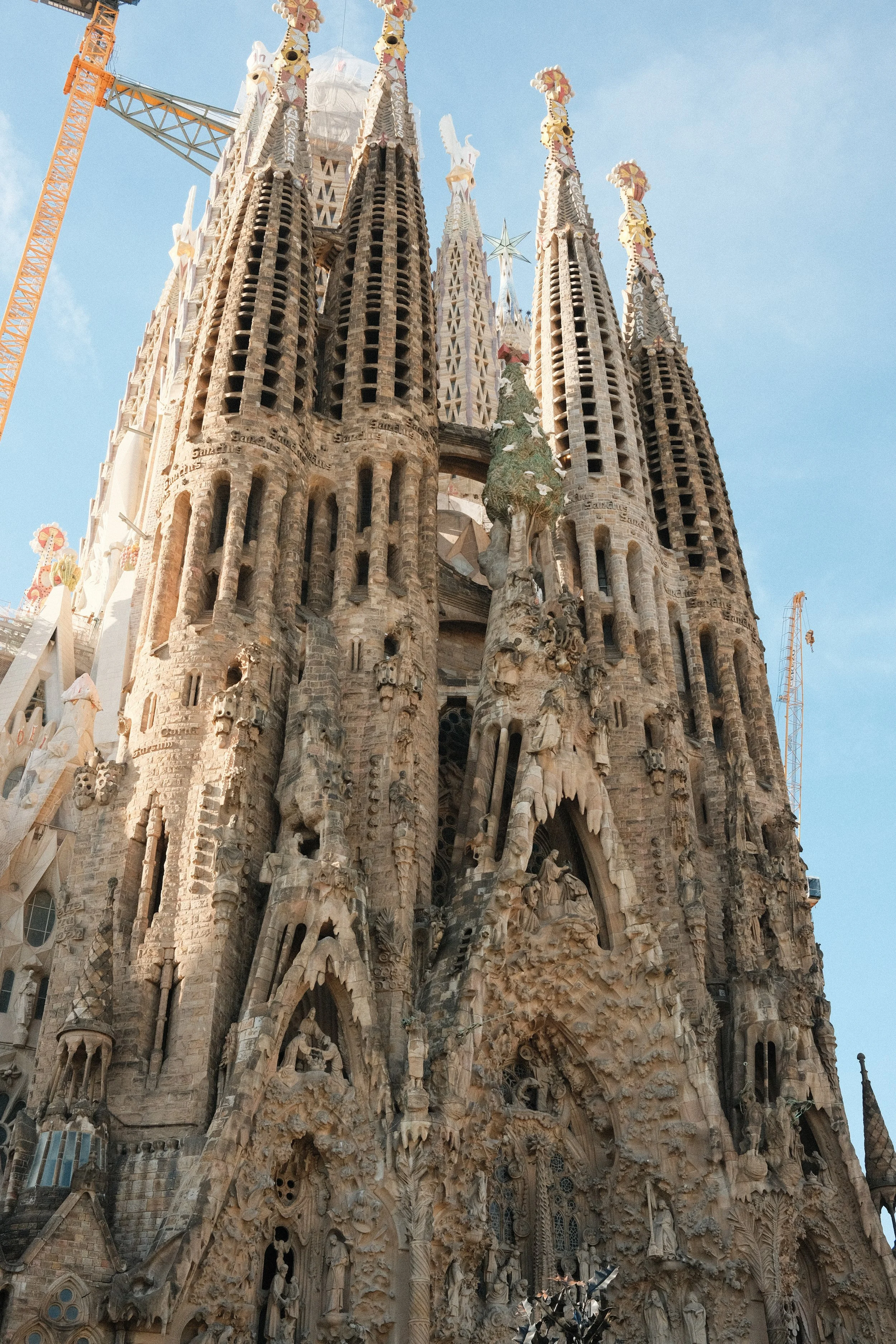 DSCF9510.jpg