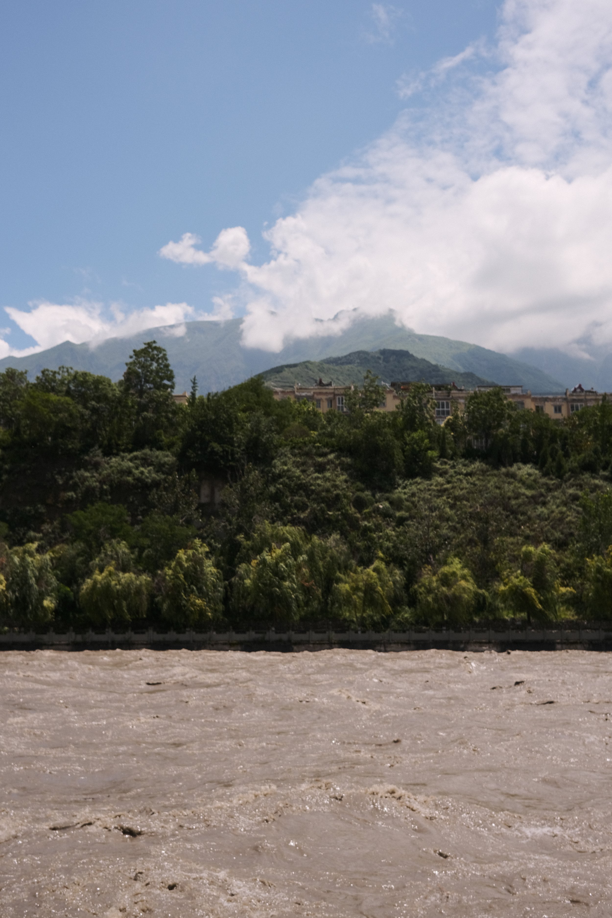 DSCF6146.jpg