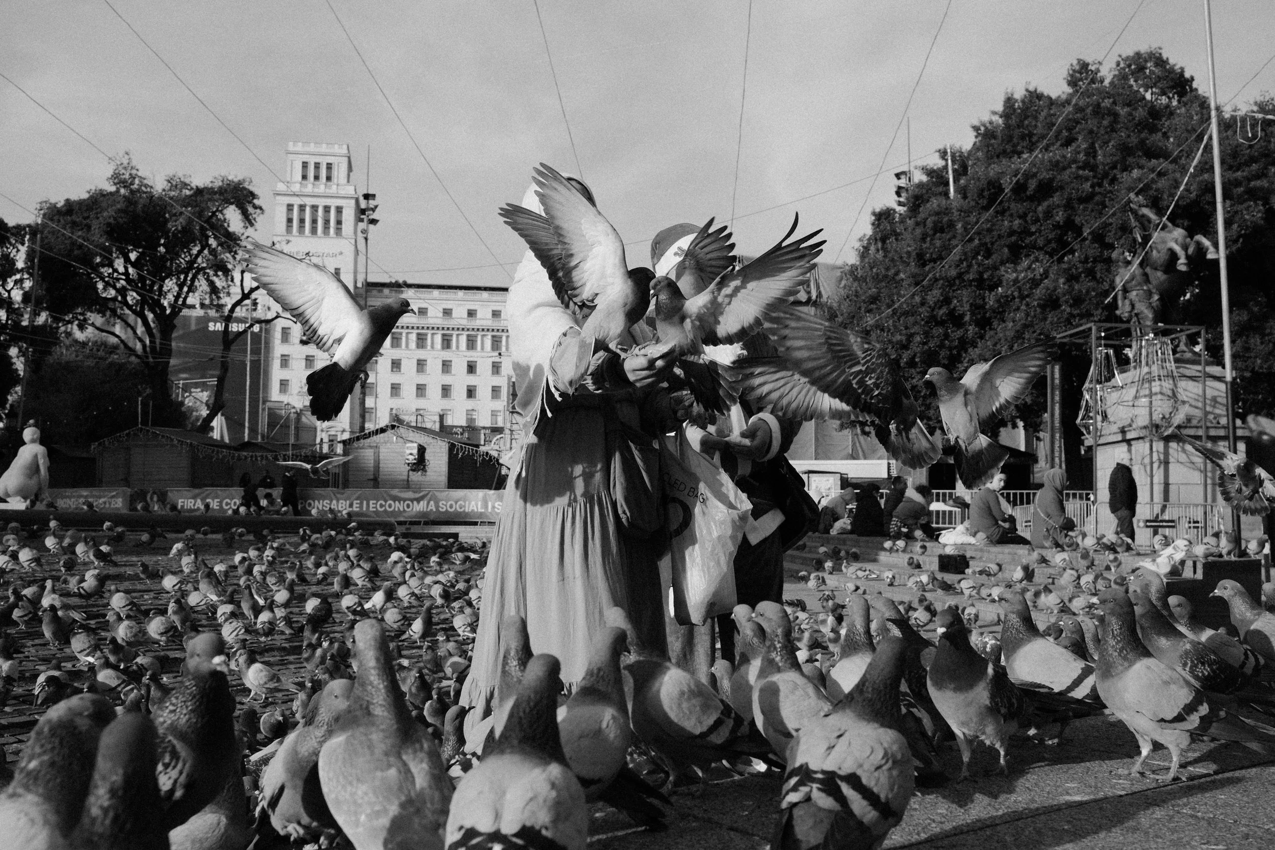 DSCF9590.jpg