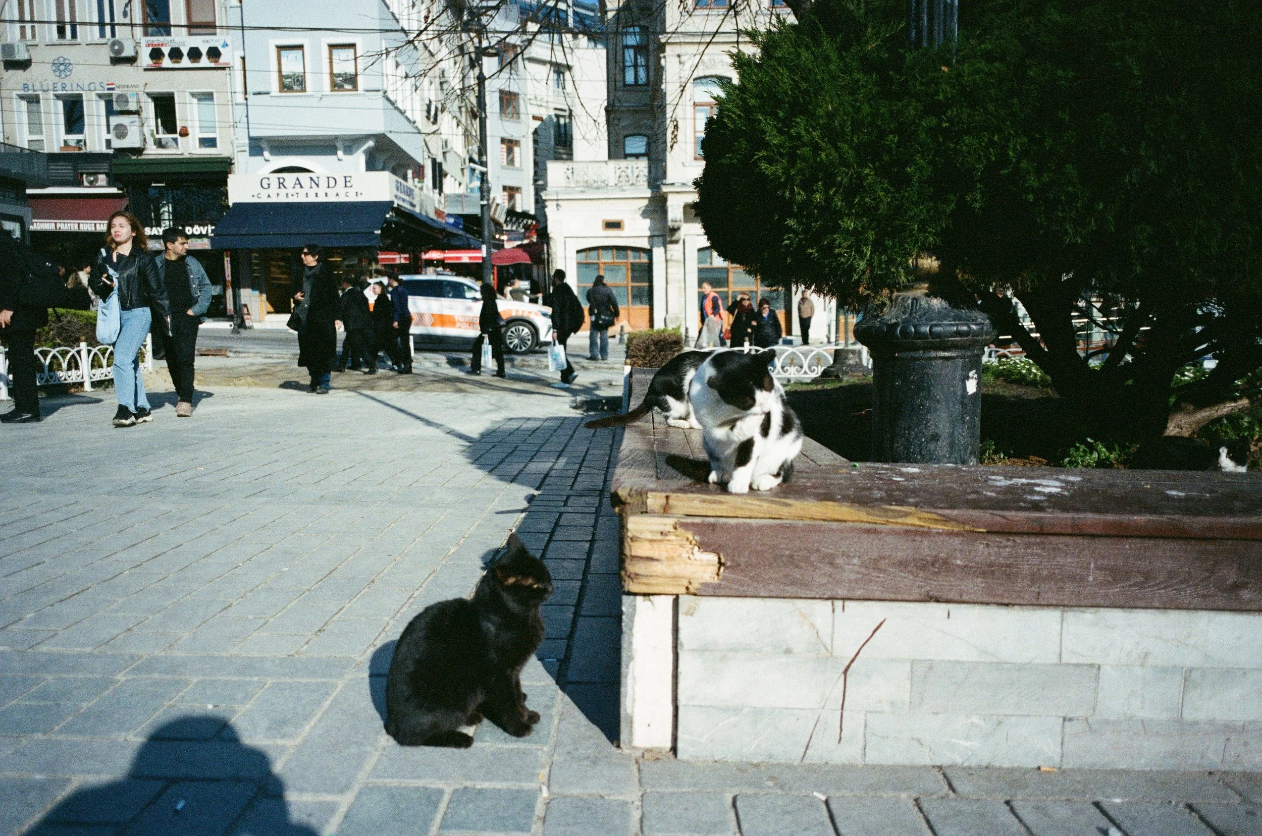 001759520018.jpg