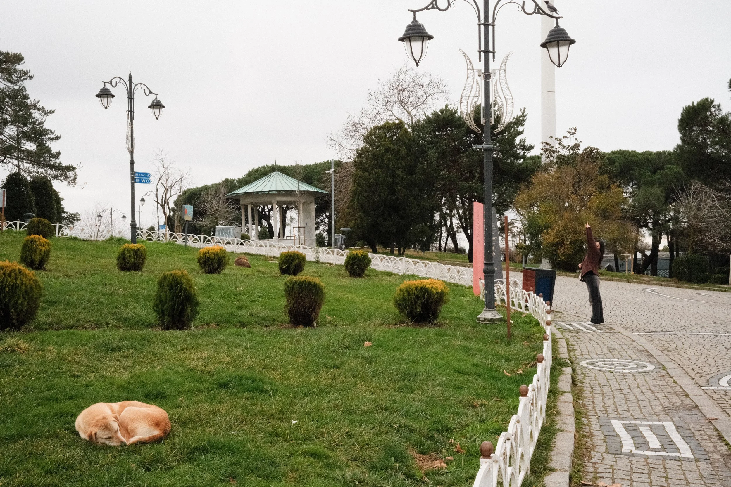 DSCF0814.jpg