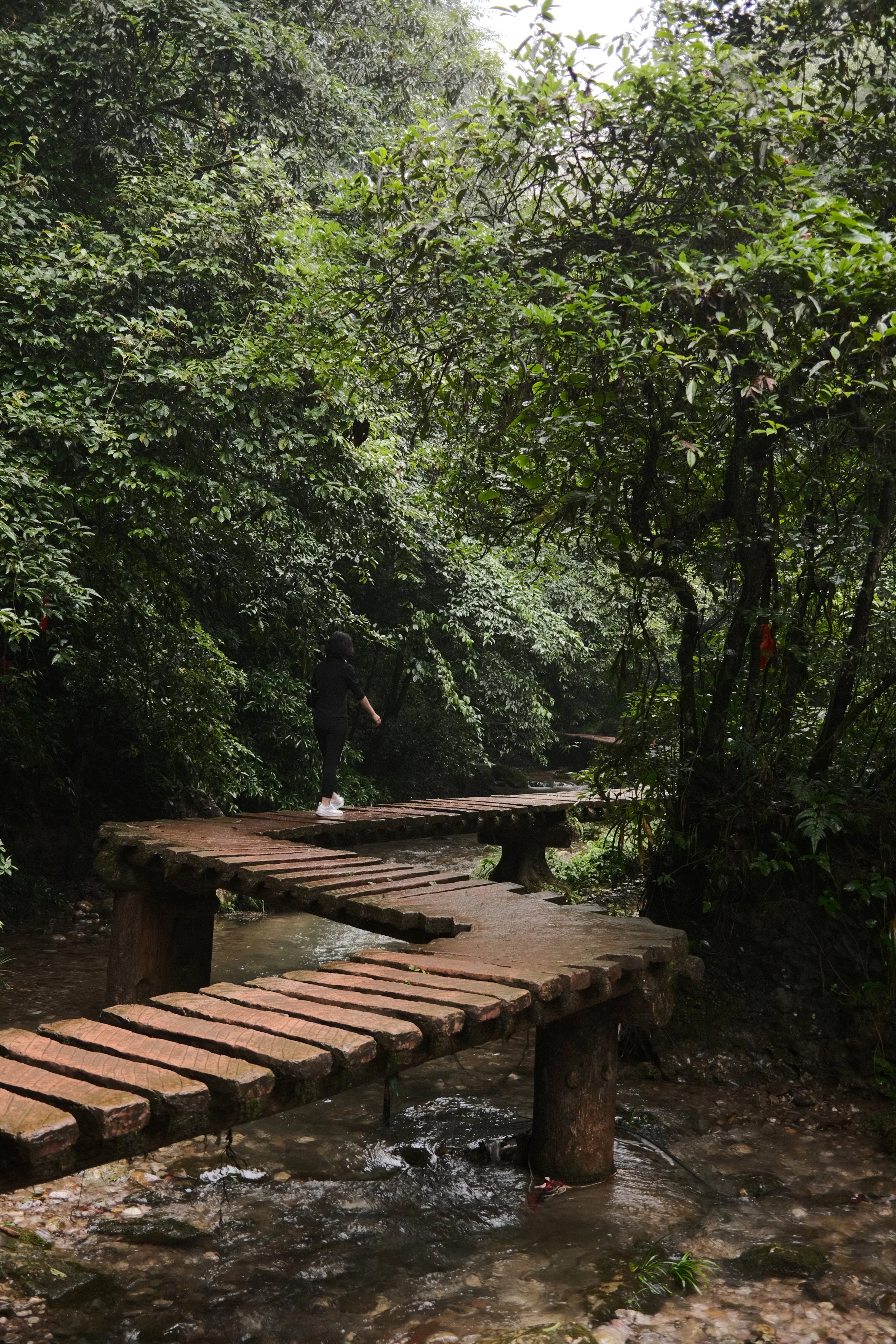 DSCF6045.jpg