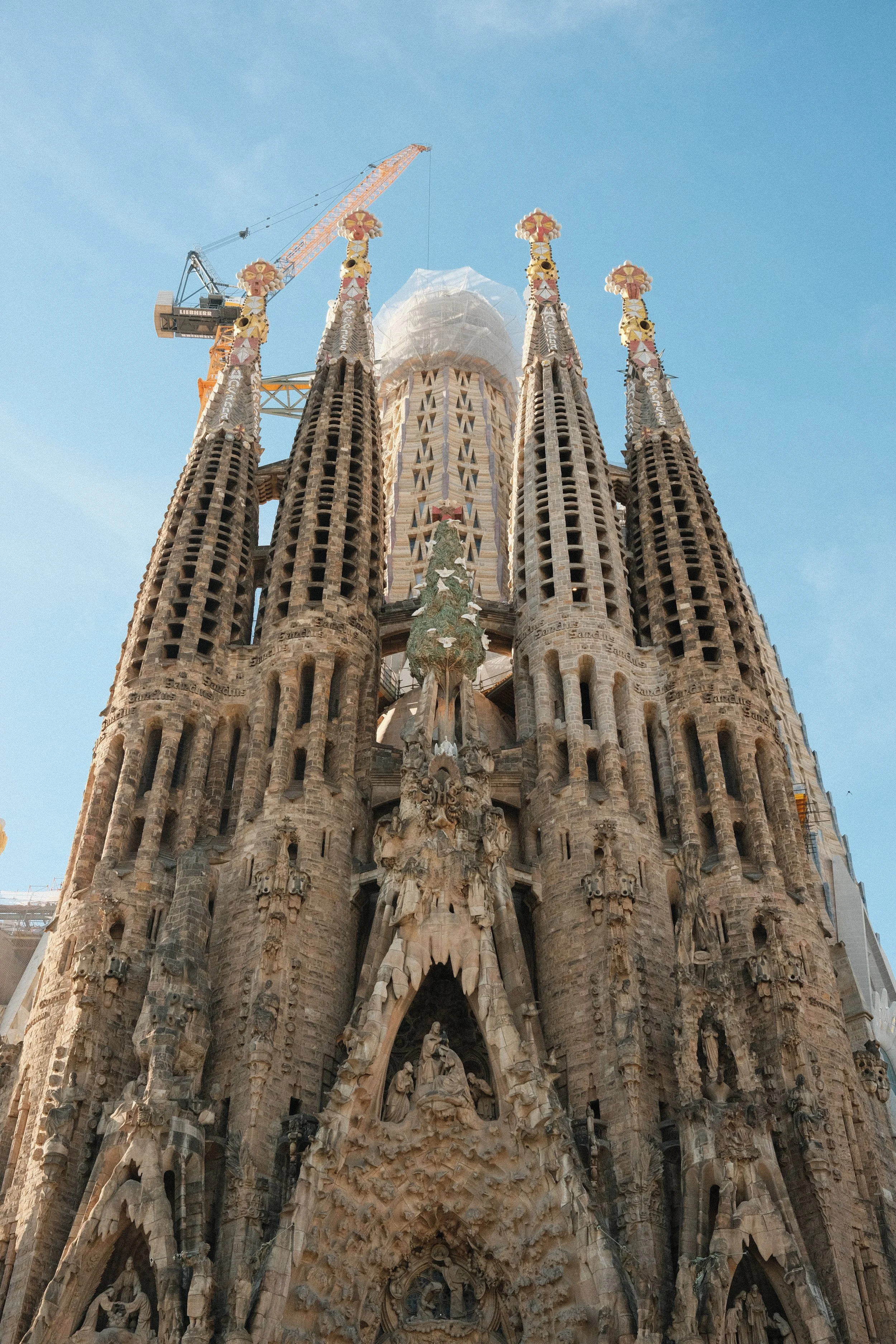 DSCF9478.jpg