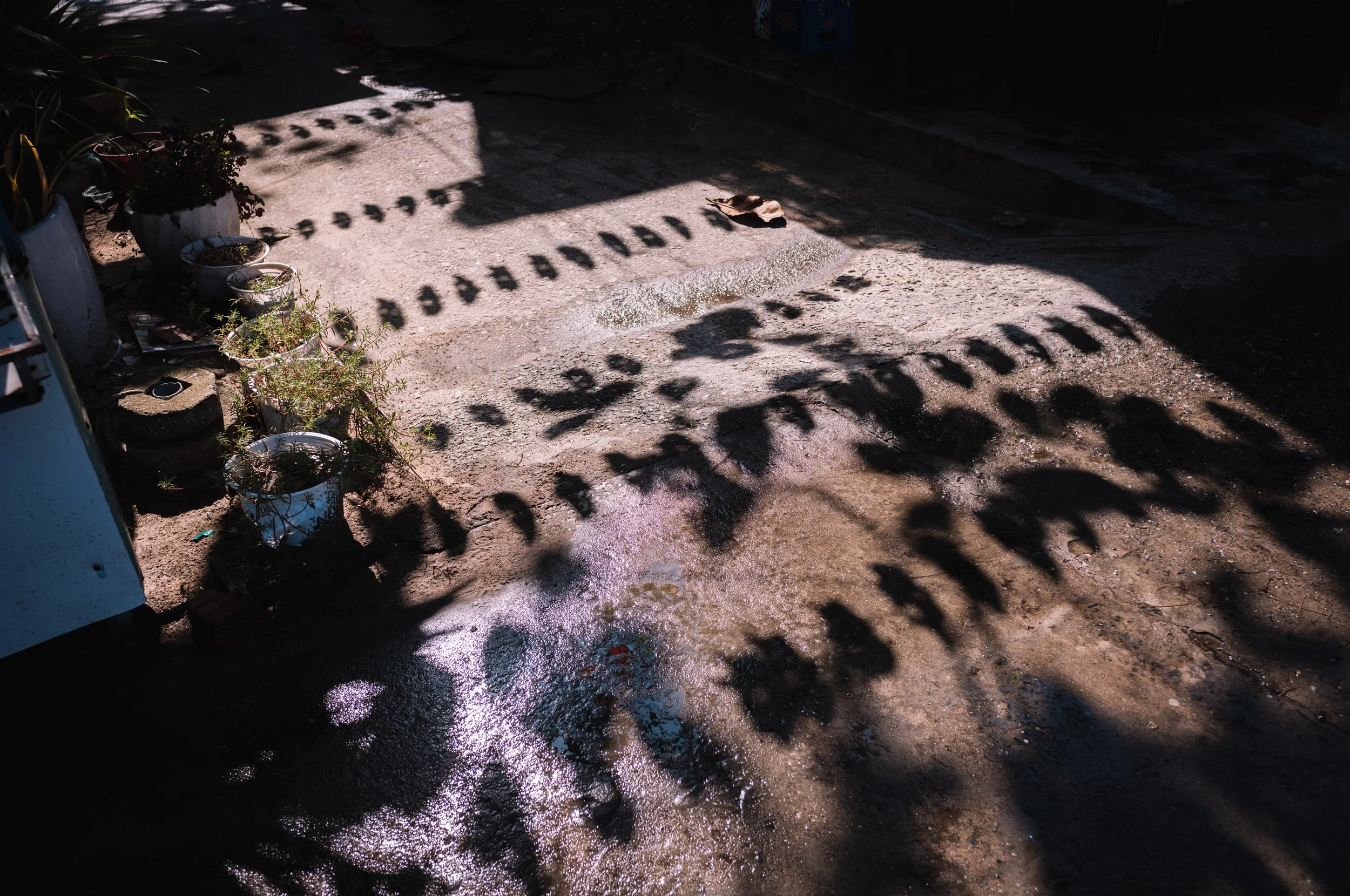 L1011867.jpg
