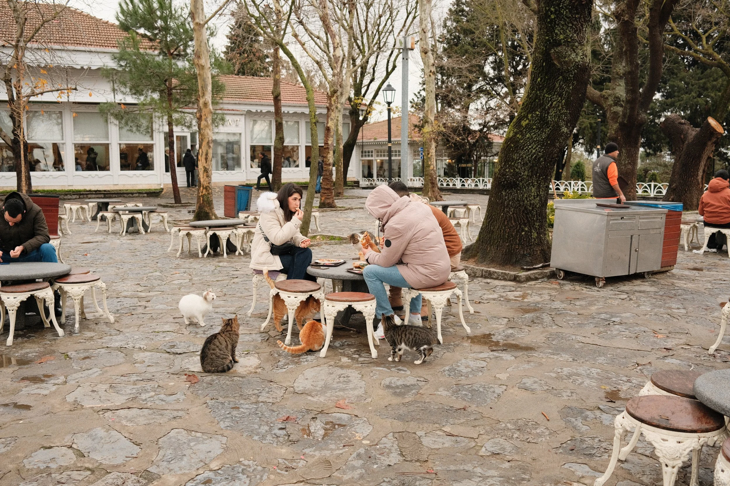 DSCF0821.jpg