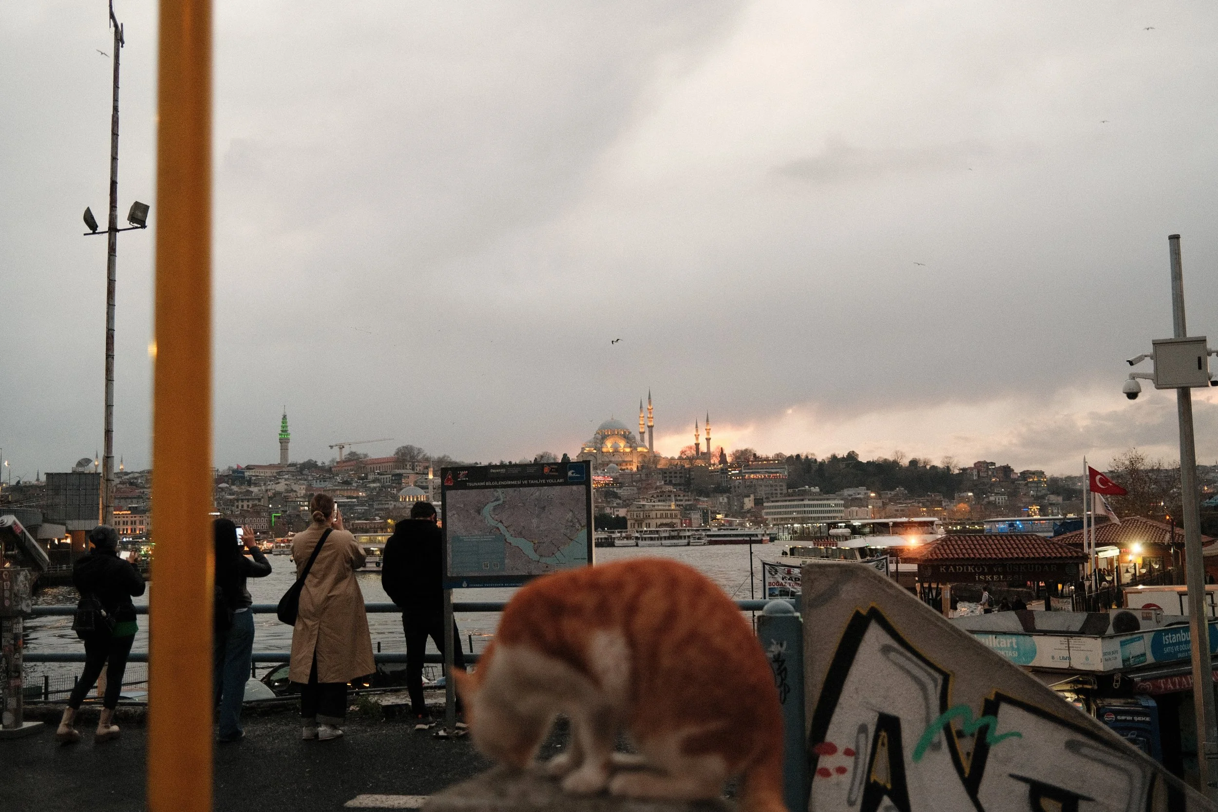 DSCF0647.jpg