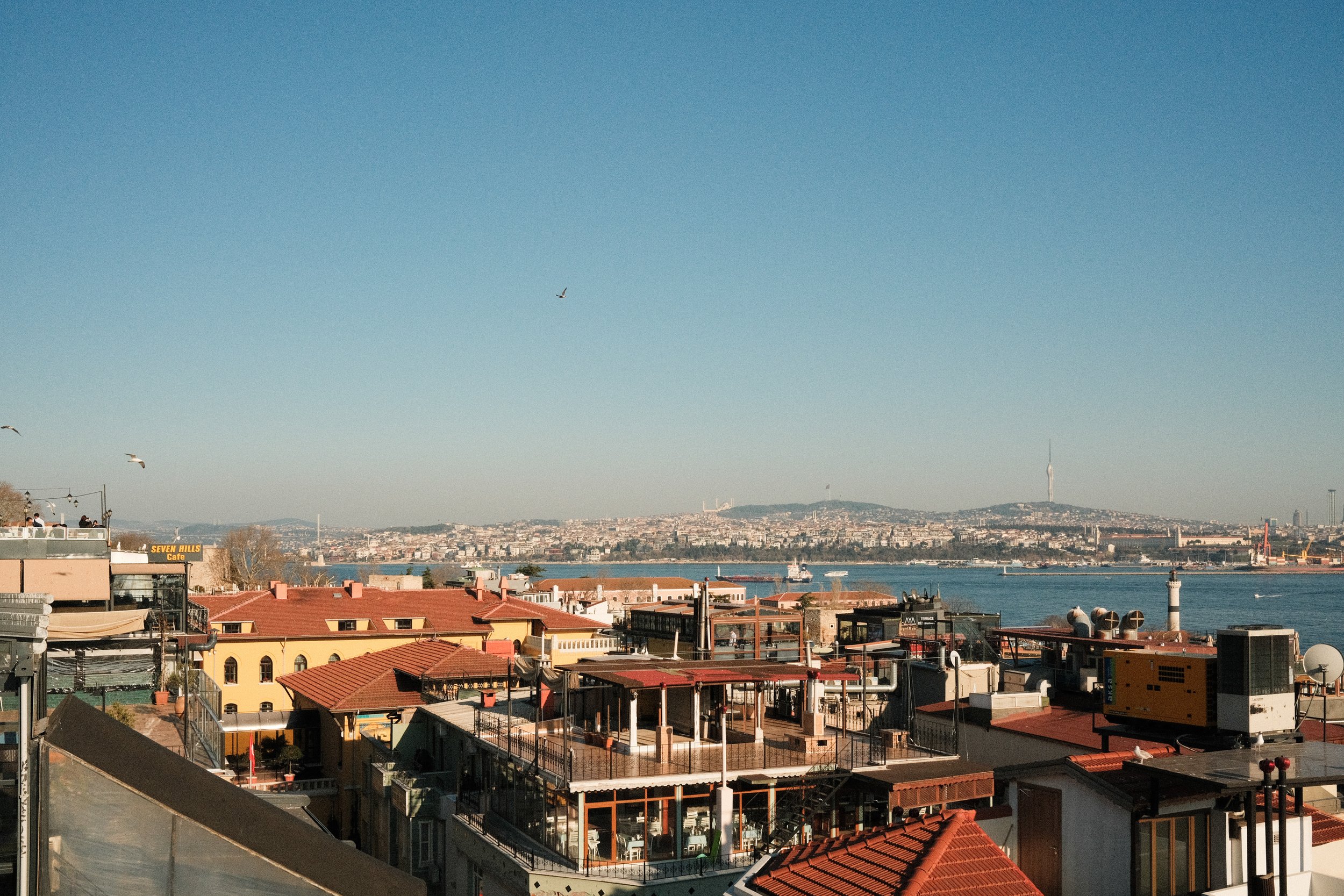DSCF0279.jpg