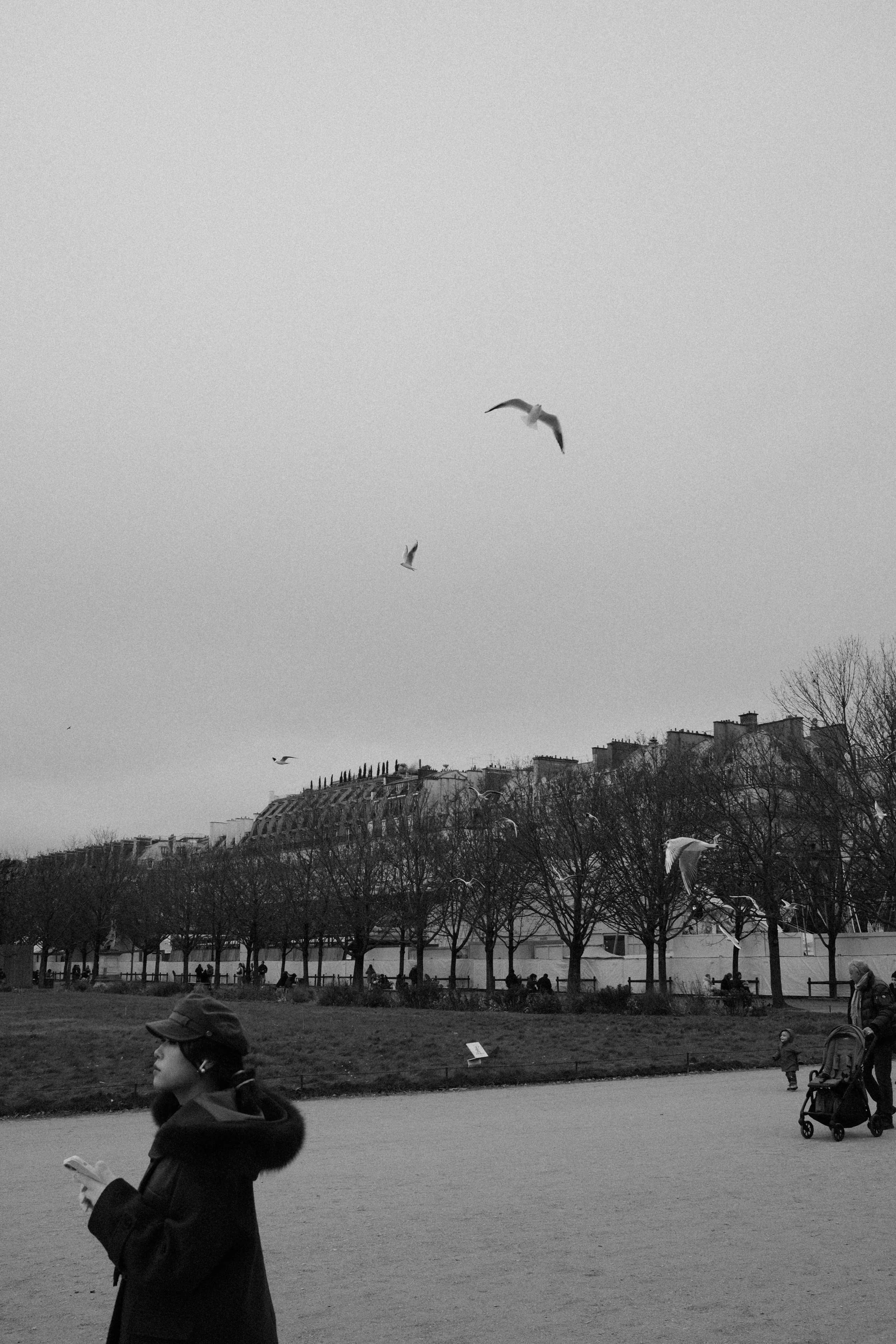 DSCF8865.jpg