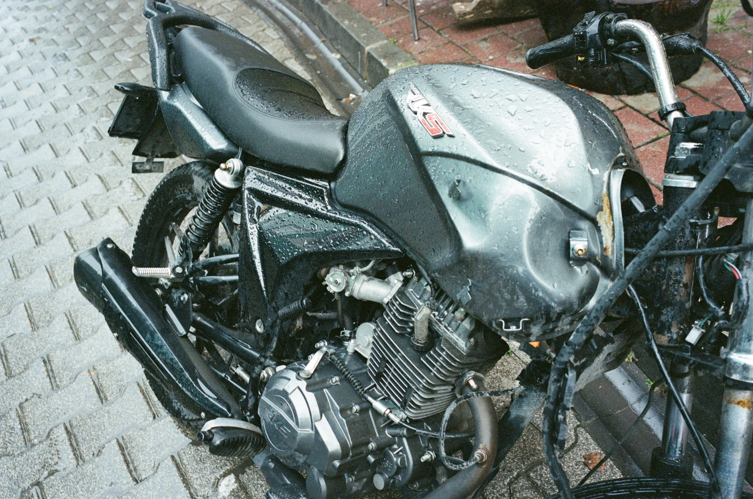 001759550008.jpg