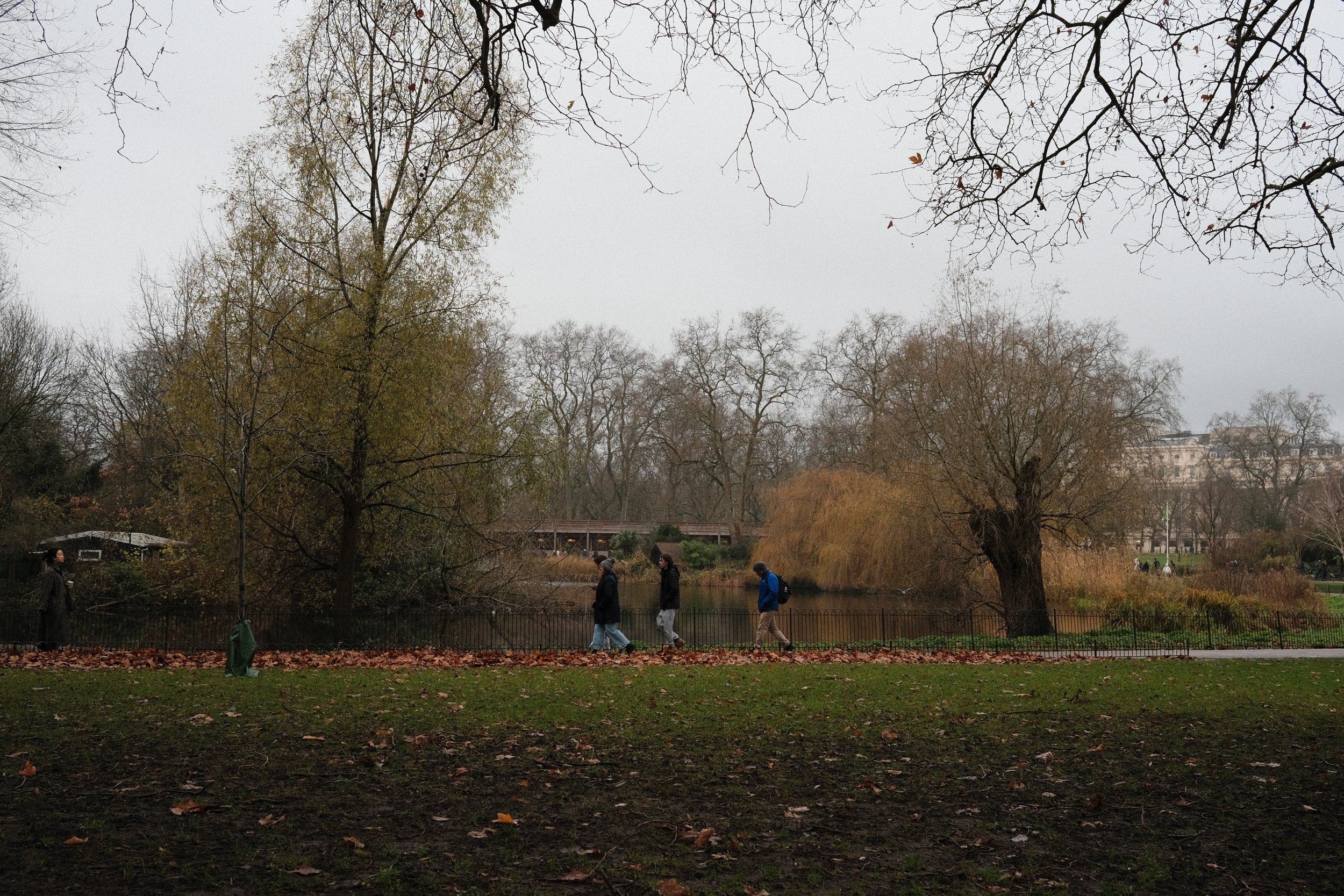 DSCF7976.jpg