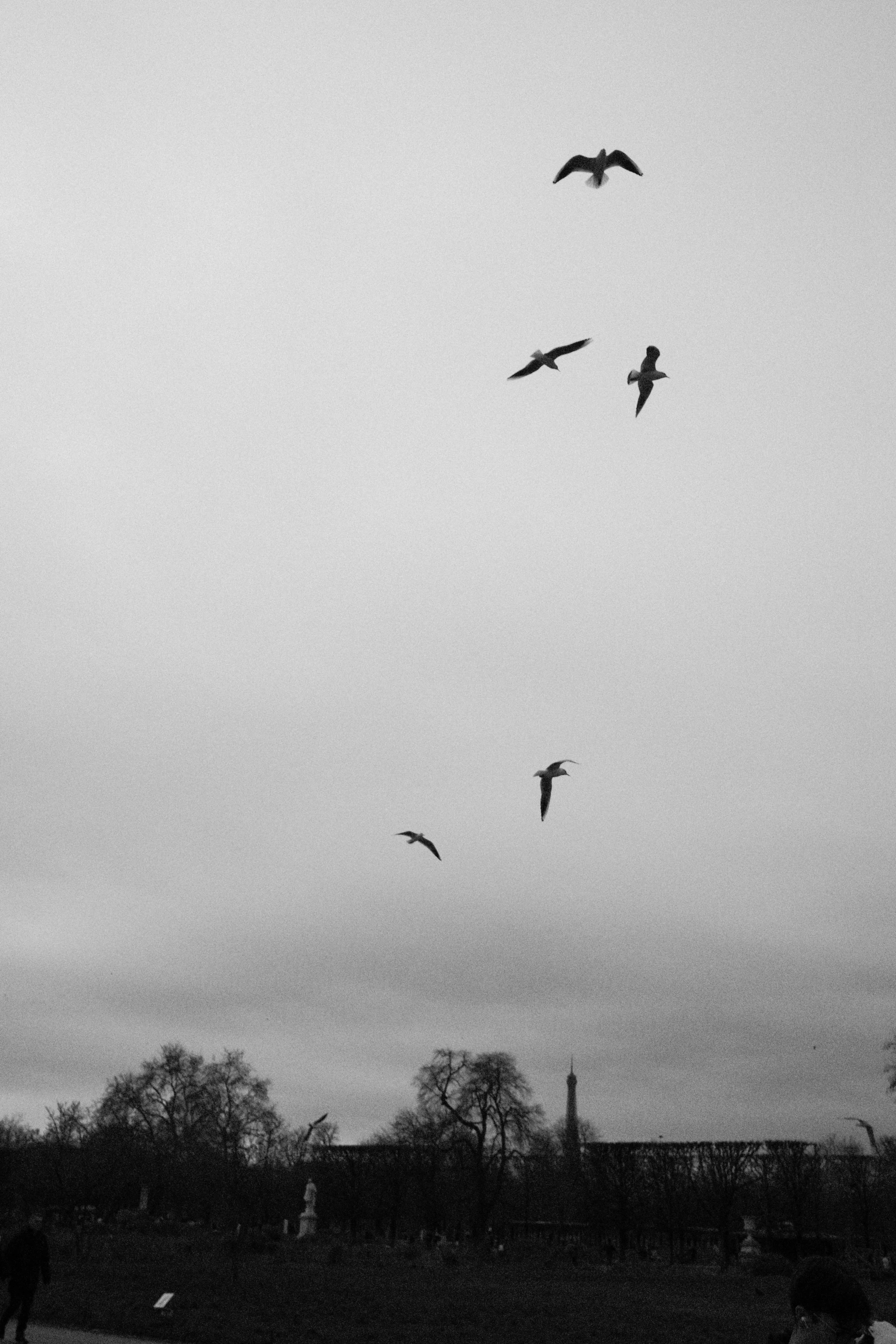DSCF8905.jpg