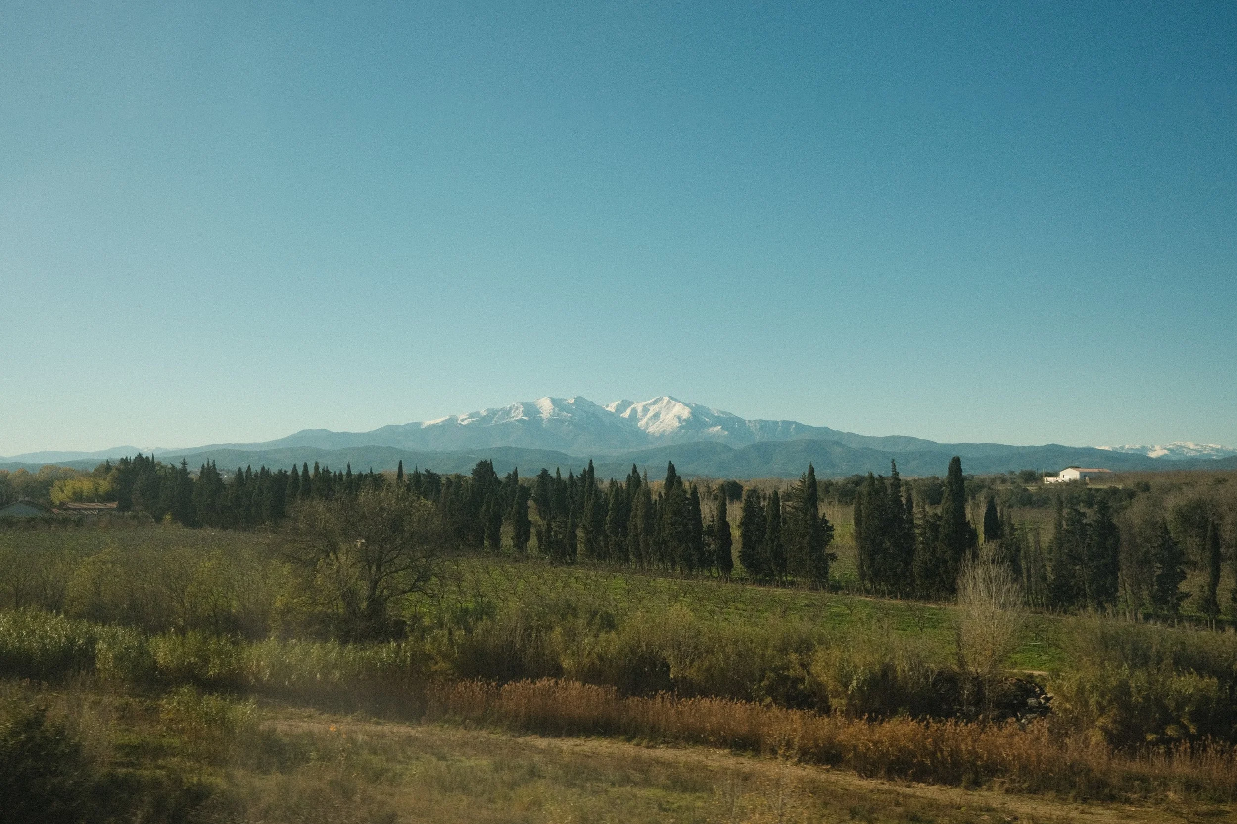 DSCF9235.jpg